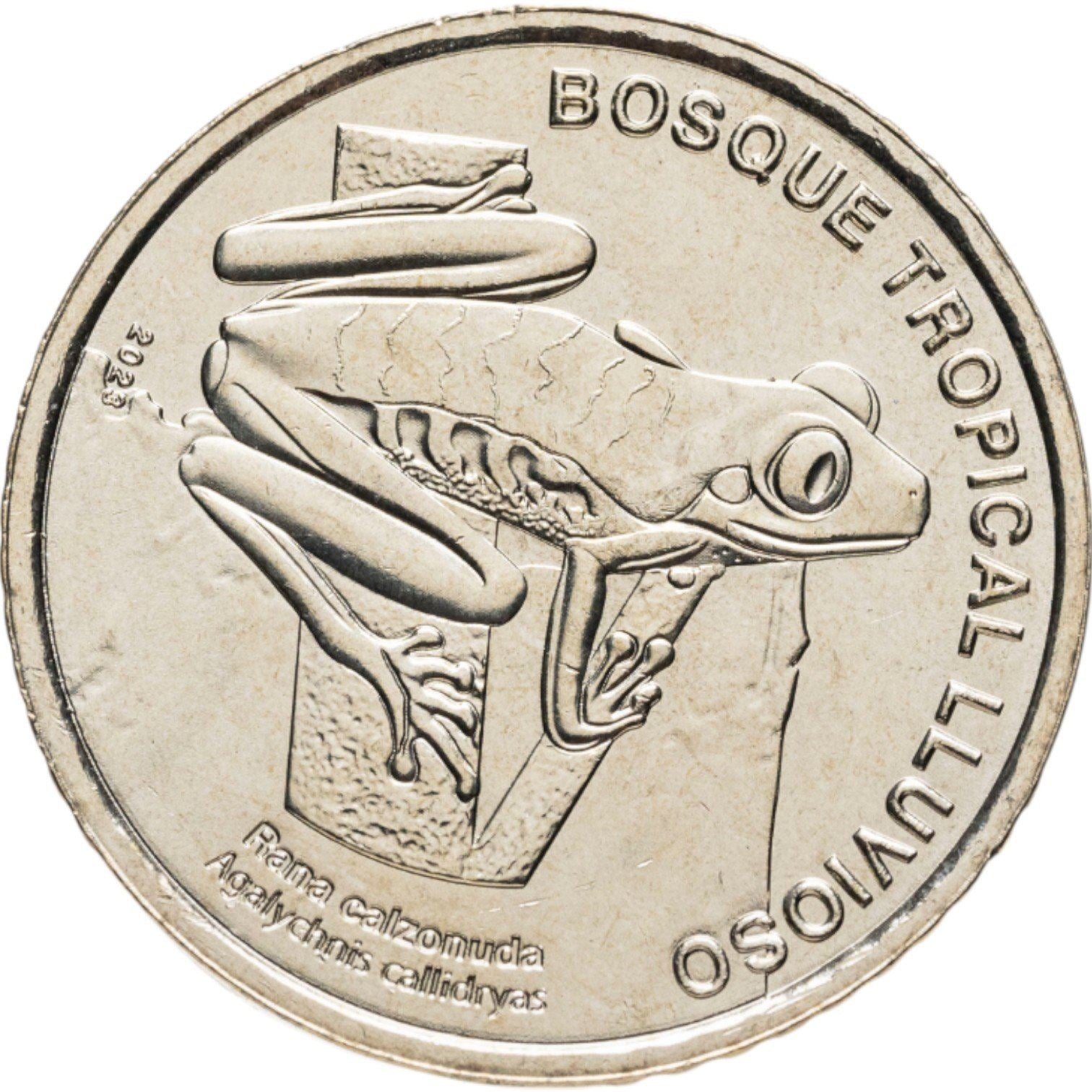 Costa Rica | 50 Colones Coin | Red-eyed tree frog | 2023
