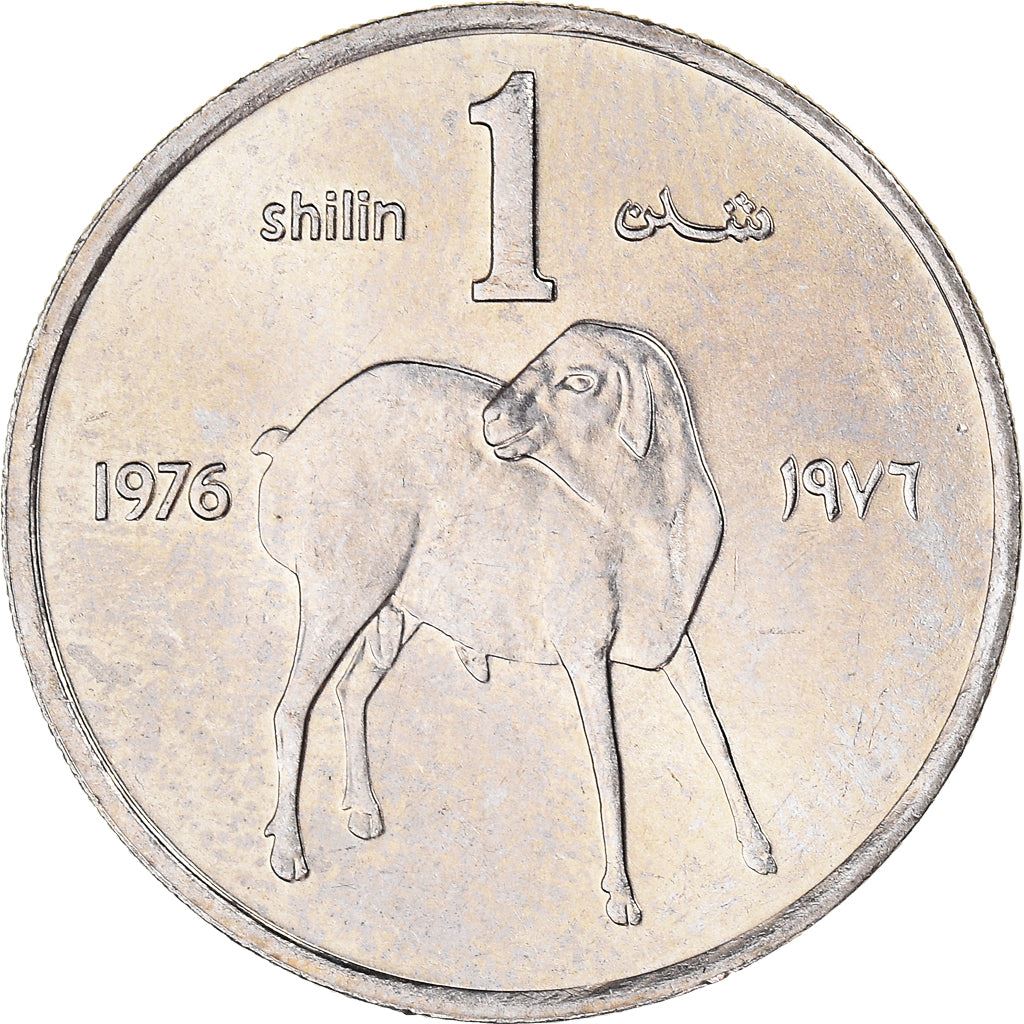Somalia | 1 Shilling Coin | FAO | Lamb | Km:27 | 1976