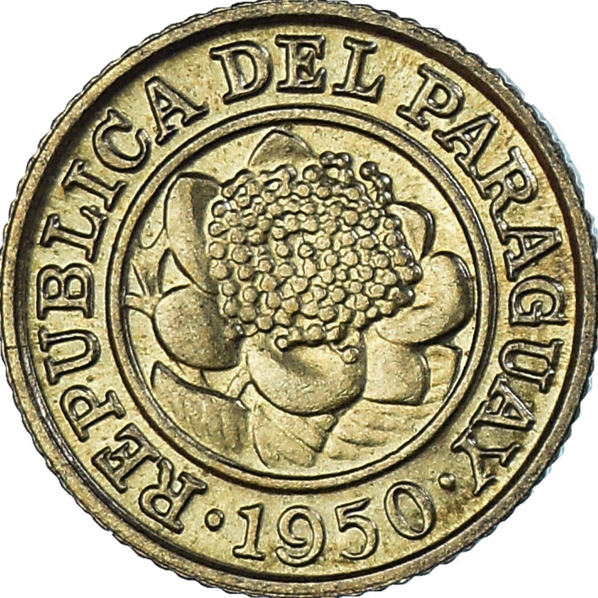 Paraguay | 1 Centimo Coin | Psidium guajava | Km:20 | 1944 - 1950