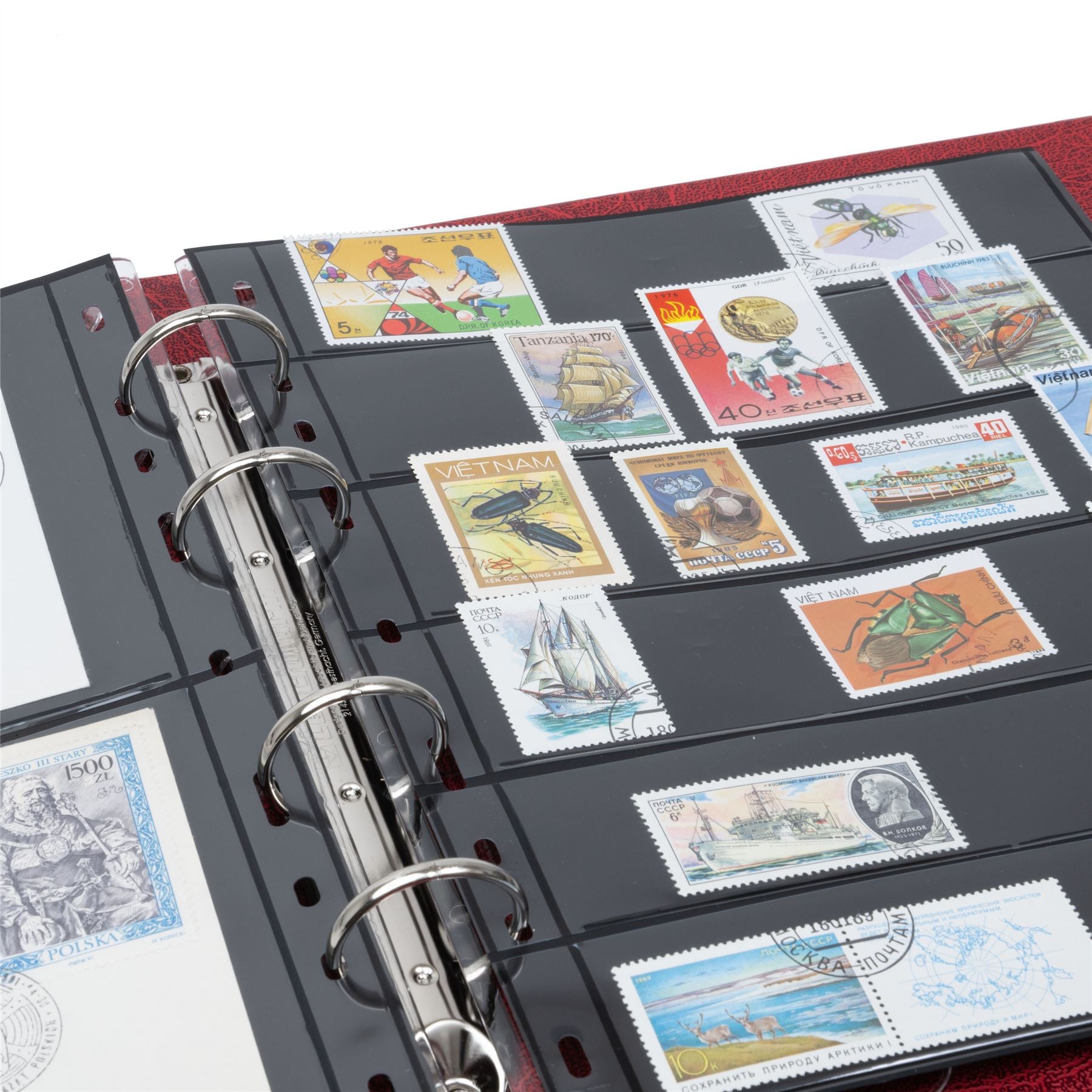 OPTIMA FLAT Ring Binder | Coin and Banknote Album | Slipcase Optional | Up to 50 Sheet Capacity | 5 Color Options