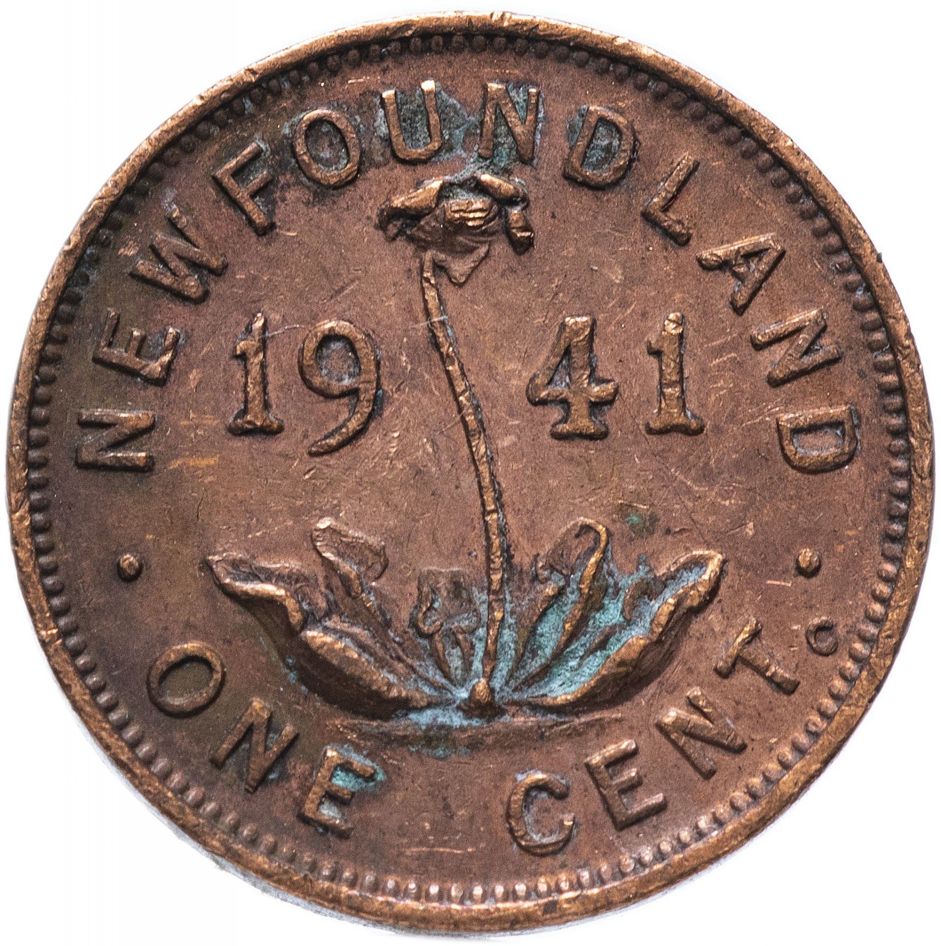 Newfoundland | 1 Cent Coin | Purple pitcher plant | Km:18 | 1938 - 1947