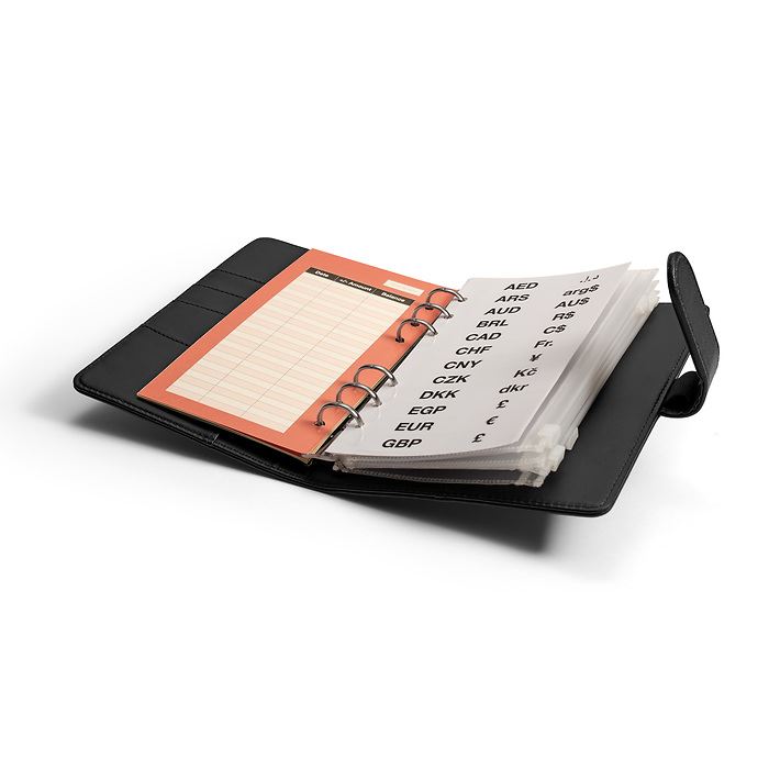 Travel Money Ring Binder | 5 Zip-Up Sheets Included | Three Colours