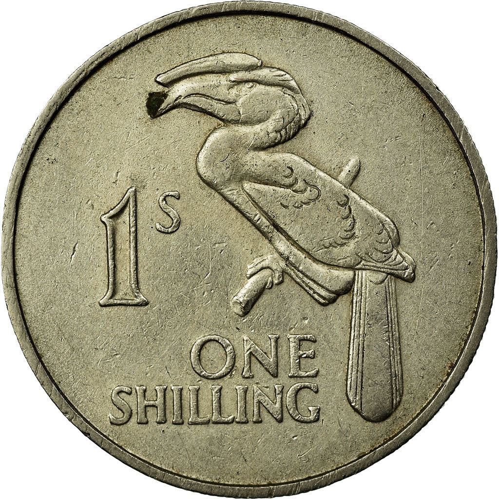 Zambia | 1 Shilling Coin | Crowned hornbill | Km:2 | 1964
