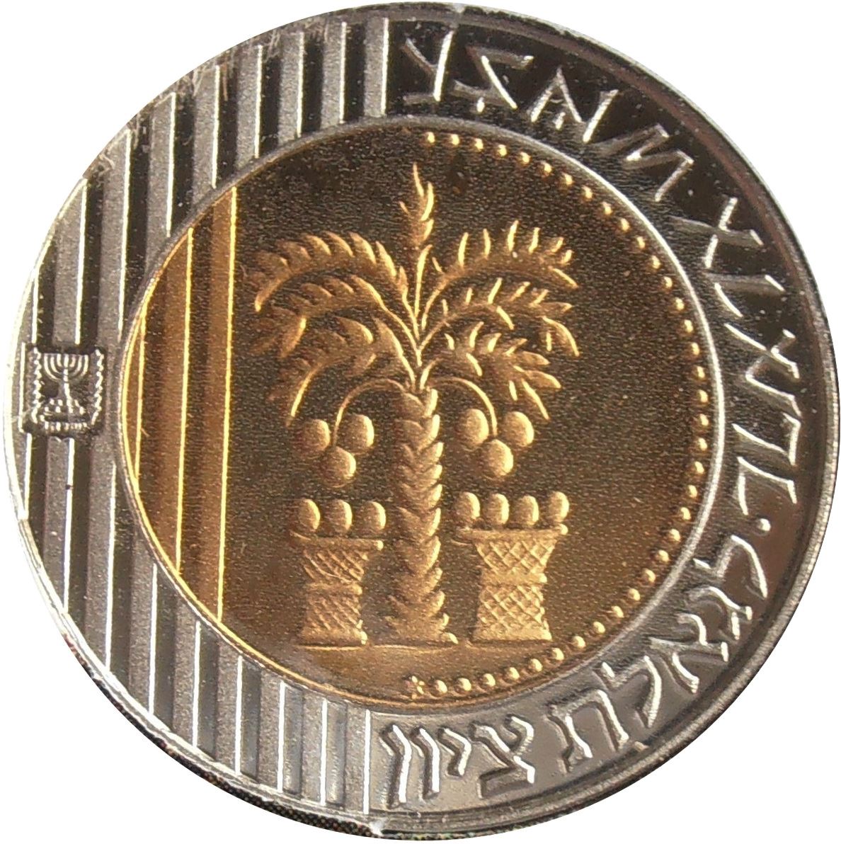 Israel | 10 New Sheqalim Coin Hanukka | Palm Tree | Basket | Candelabrum | KM315 | 1995 - 2009
