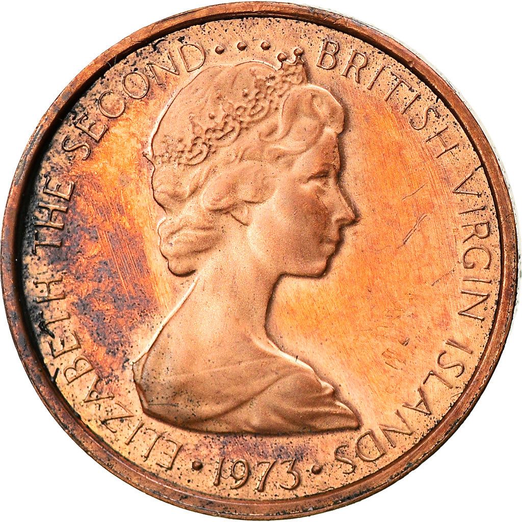 British Virgin Islands | 1 Cent Coin | Hummingbirds | Km:1 | 1973 - 1984