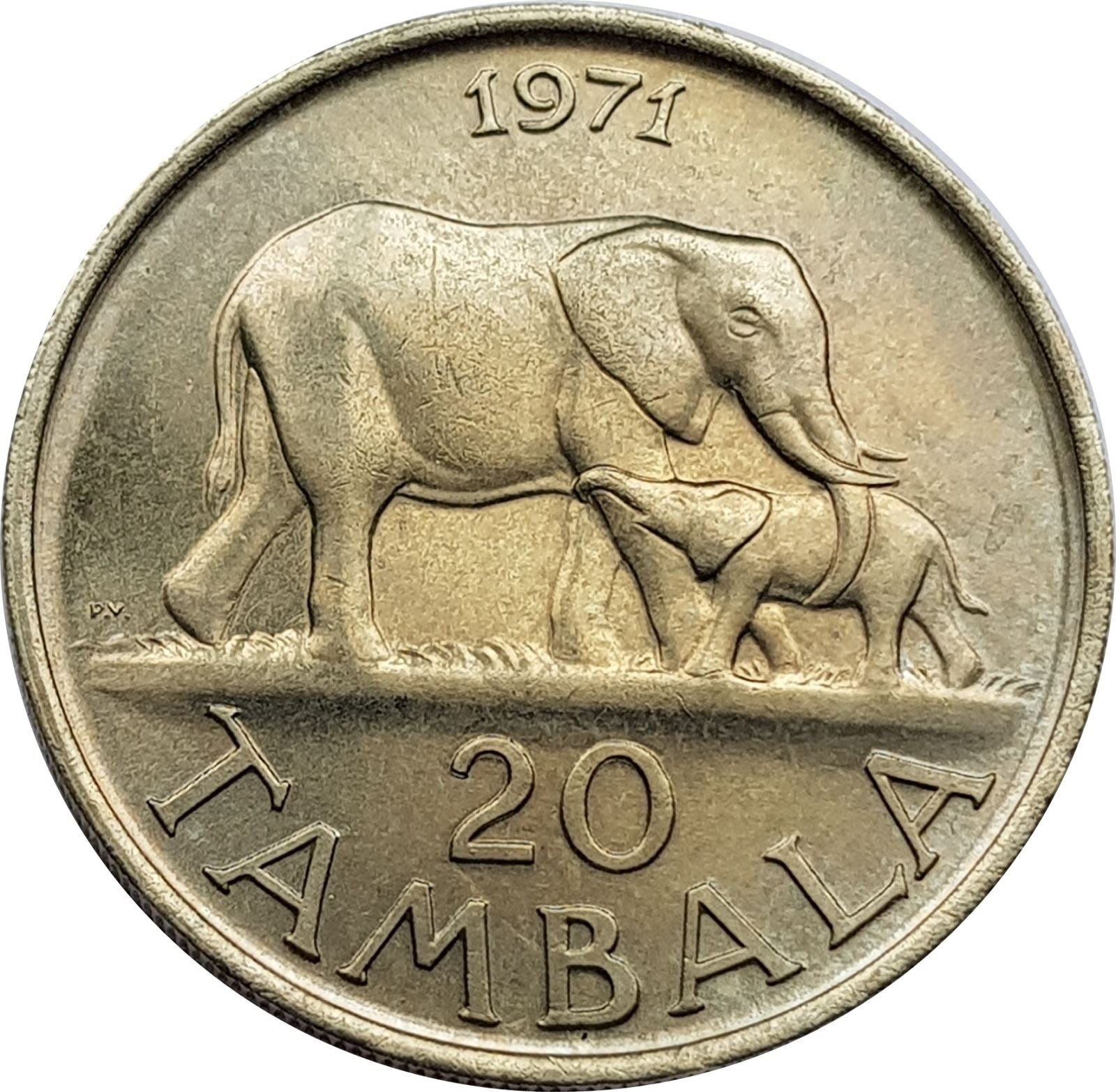 Malavio moneta Malavio | 20 Tambalų | Prezidentas Hastingsas Banda | Dramblys | KM11 | 1971 - 1985