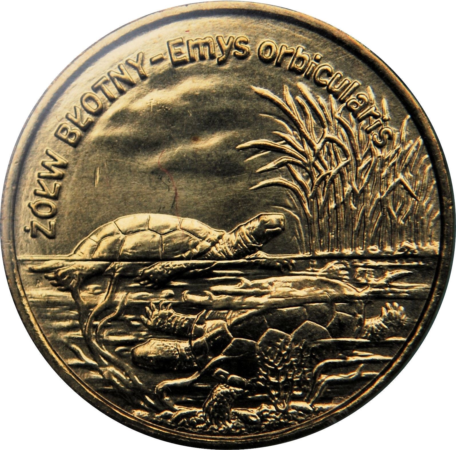 Poland | 2 Z?ote | Emys orbicularis | Turtle | lake | KM427 | 2002