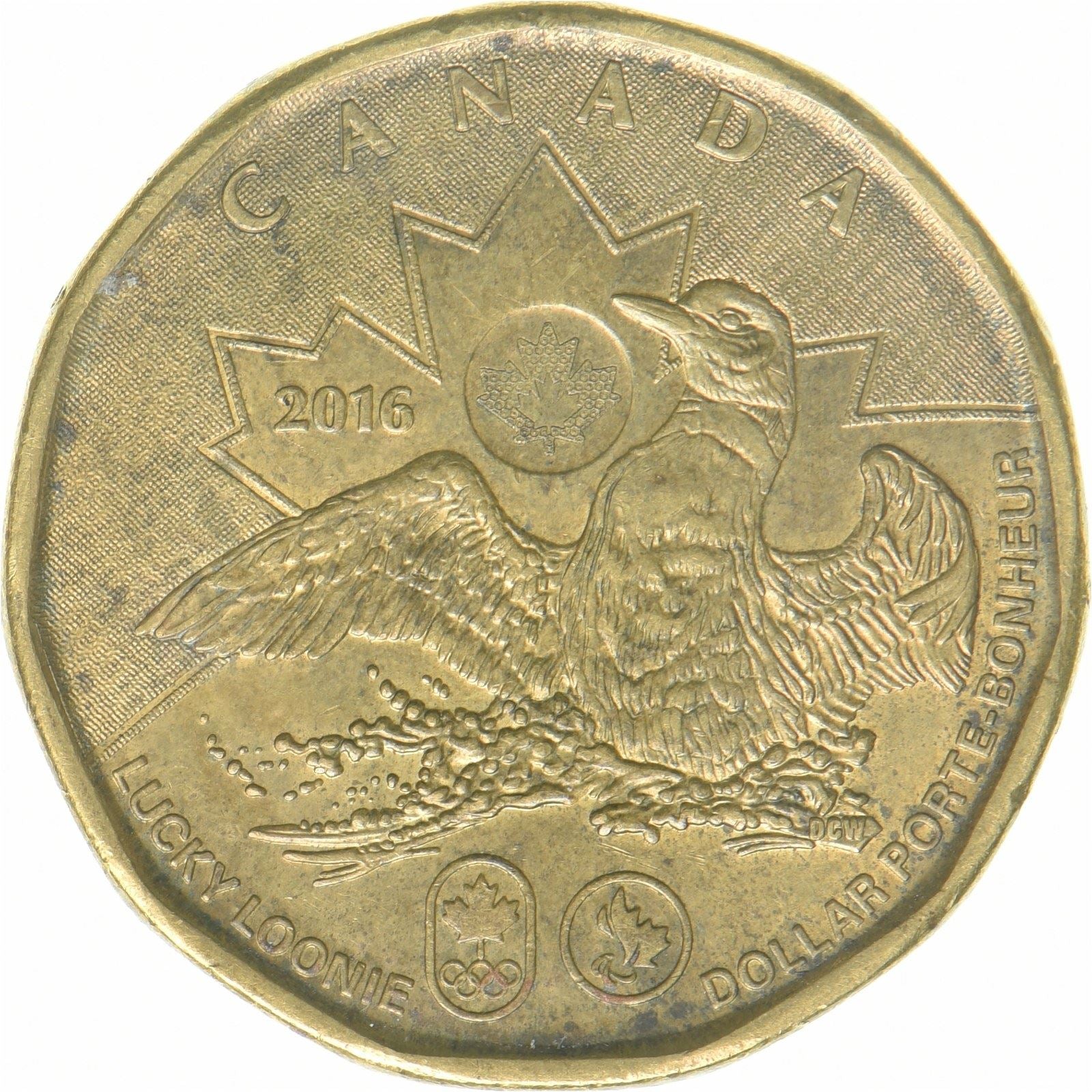 Canada | 1 Dollar Munt | Lucky Loonie | Messing gecoat staal | KM:2089 | 2016