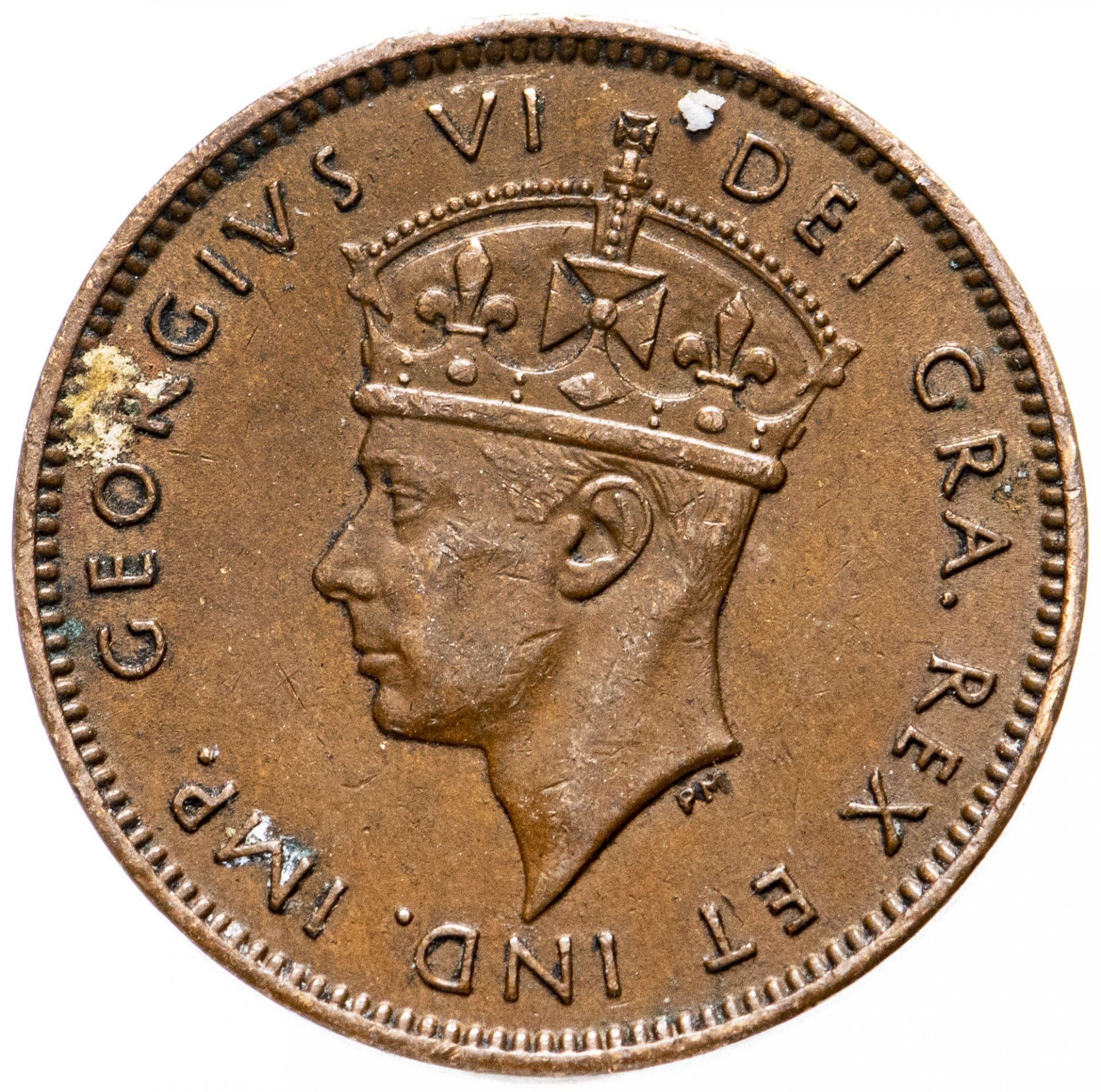 Newfoundland | 1 Cent Coin | Purple pitcher plant | Km:18 | 1938 - 1947