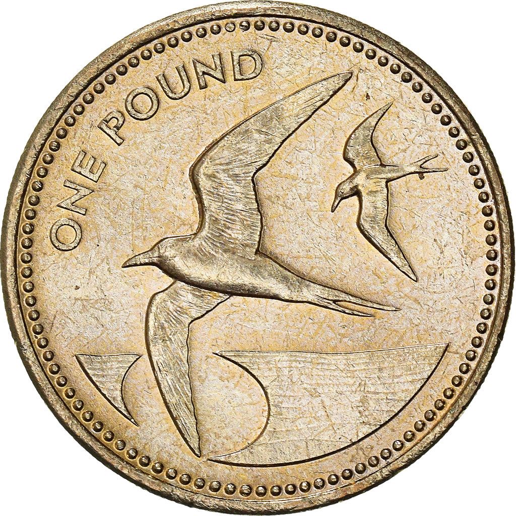 סנט הלנה ואסנשן | מטבע של 1 פאונד | אליזבת השנייה | ציפור טרן סוטי | Km:17 | 1991 - 2015