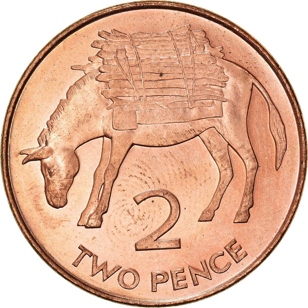 St. Helena und Ascension | 2 Pence Münze | Elizabeth II | Esel | Brennholz | Km:12A | 1998 - 2022