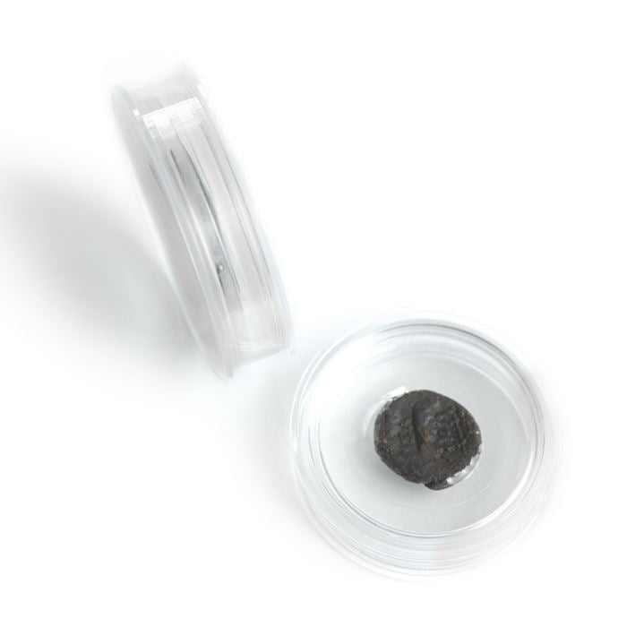 MAGIC Membrane Coin Capsules | For Ancient and Unusualy Shaped Coins | Up to 35mm Diameter and 7mm Thickness | Packs of 6
