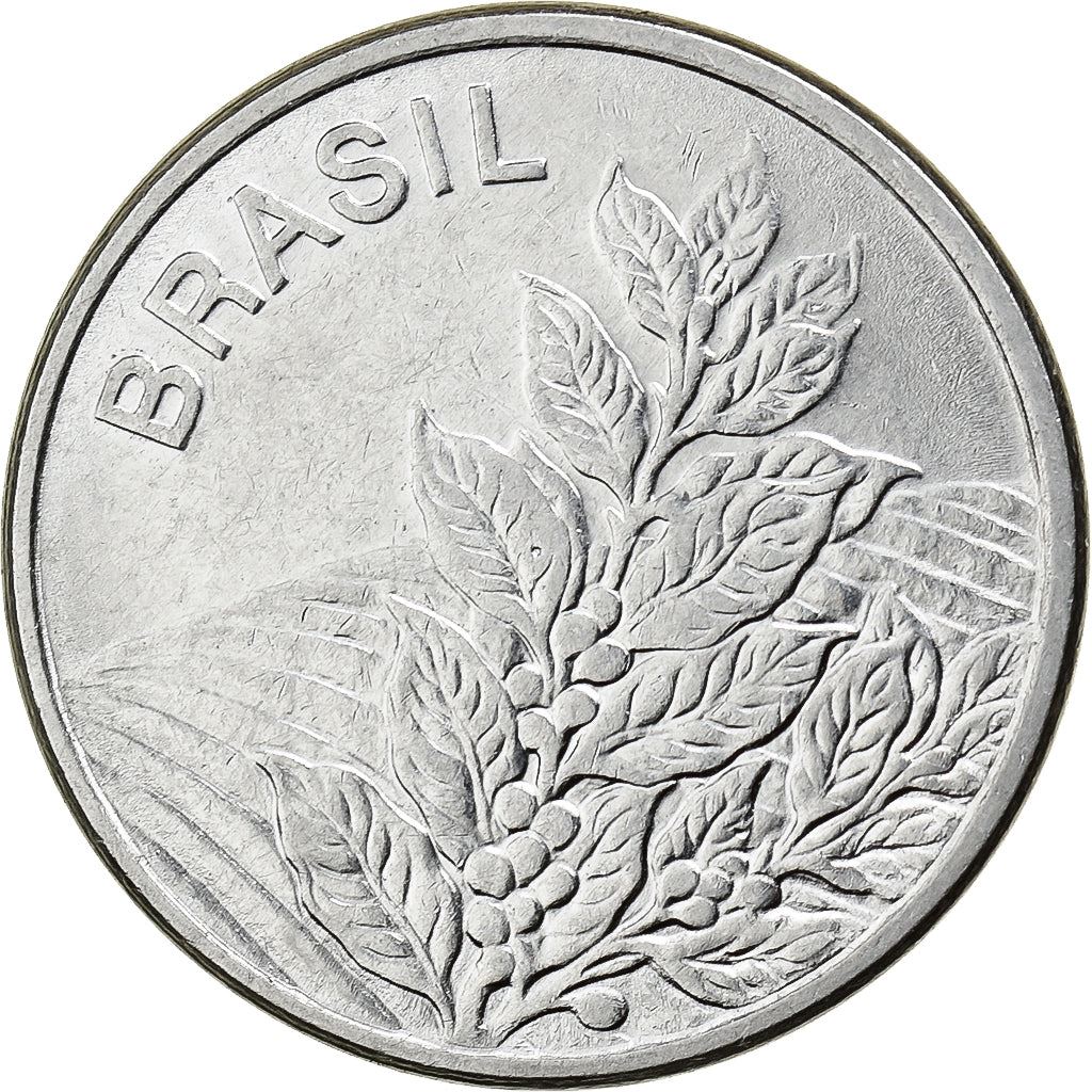 Brazil | 5 Cruzeiros Coin | Coffee plant | Km:591 | 1980 - 1984