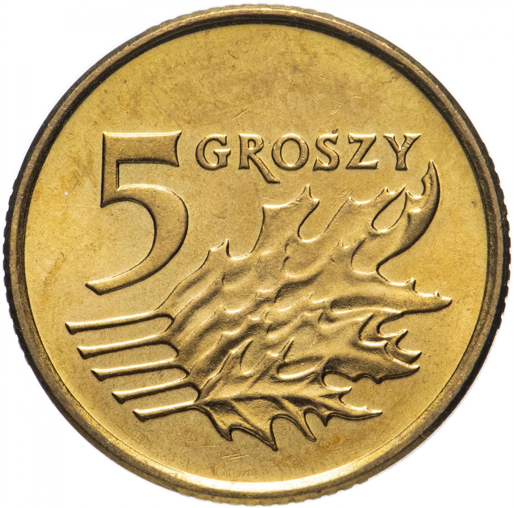 Poland 5 Groszy Coin | Oak Leaves | Polish White Eagle | KM278 | 1990 - 2014