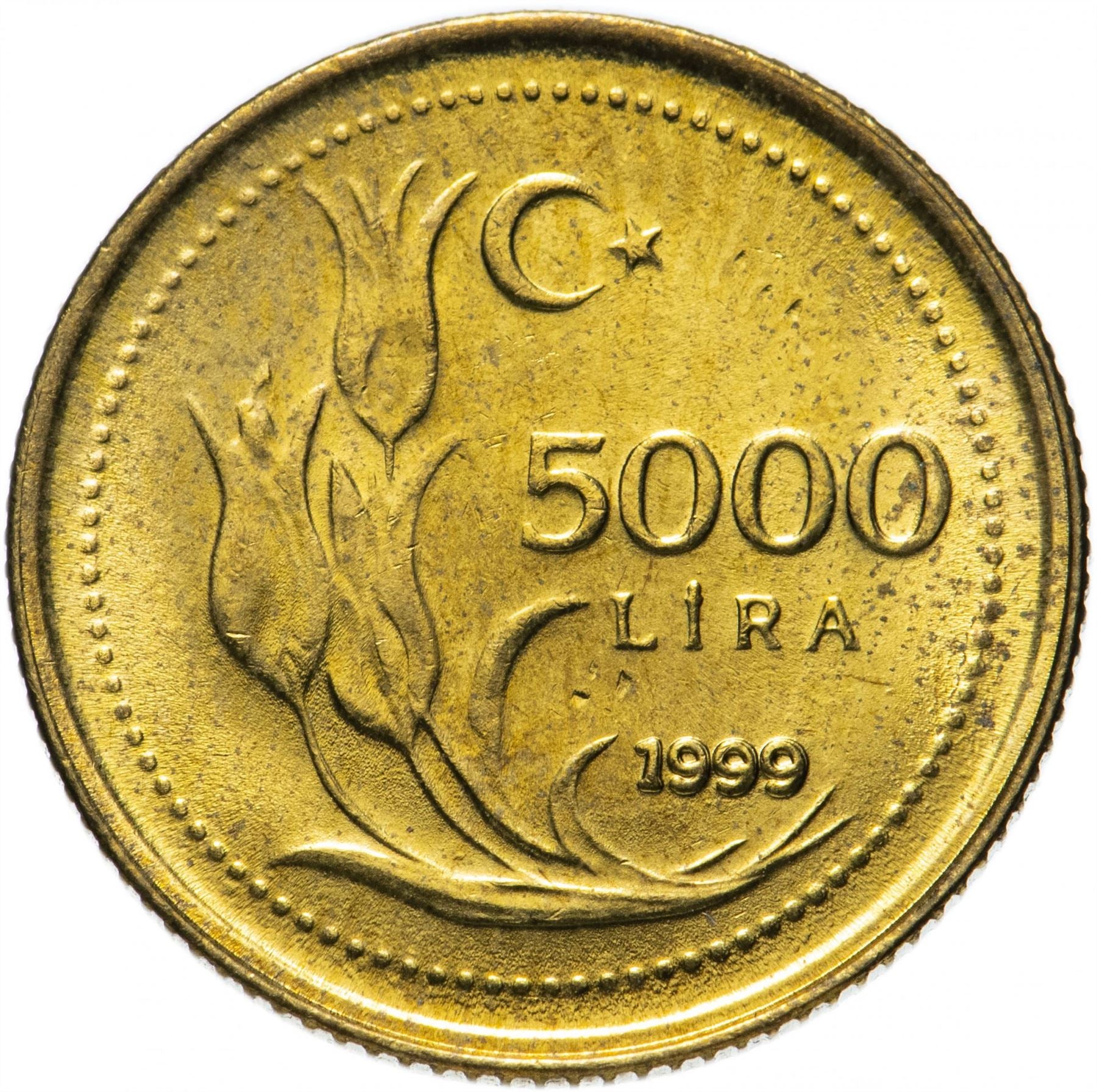 トルココイン トルコ5000リラ | 大統領ムスタファ・ケマル・アタテュルク | チューリップ | KM1029.1 | 1995 - 2000