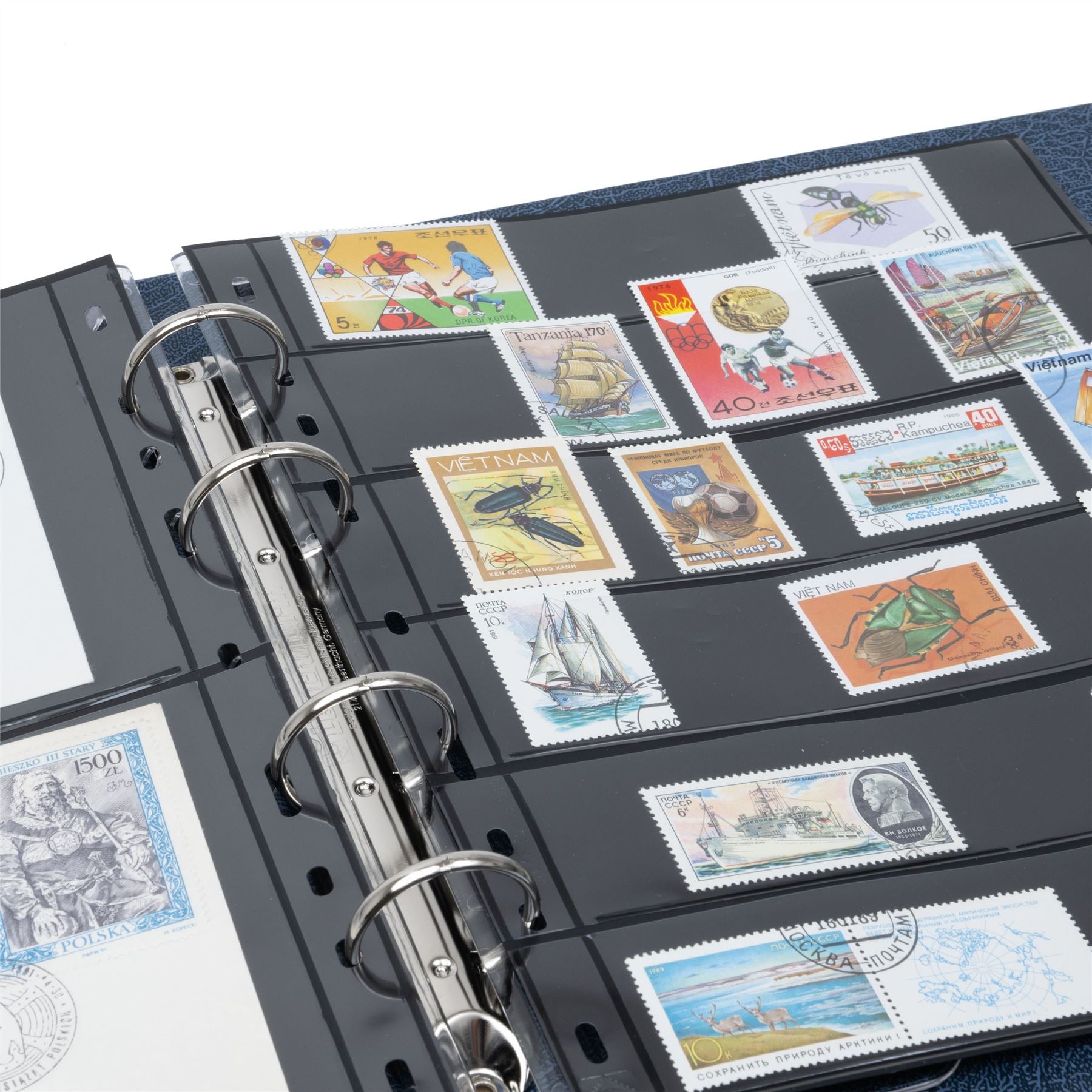 OPTIMA FLAT Ring Binder | Coin and Banknote Album | Slipcase Optional | Up to 50 Sheet Capacity | 5 Color Options