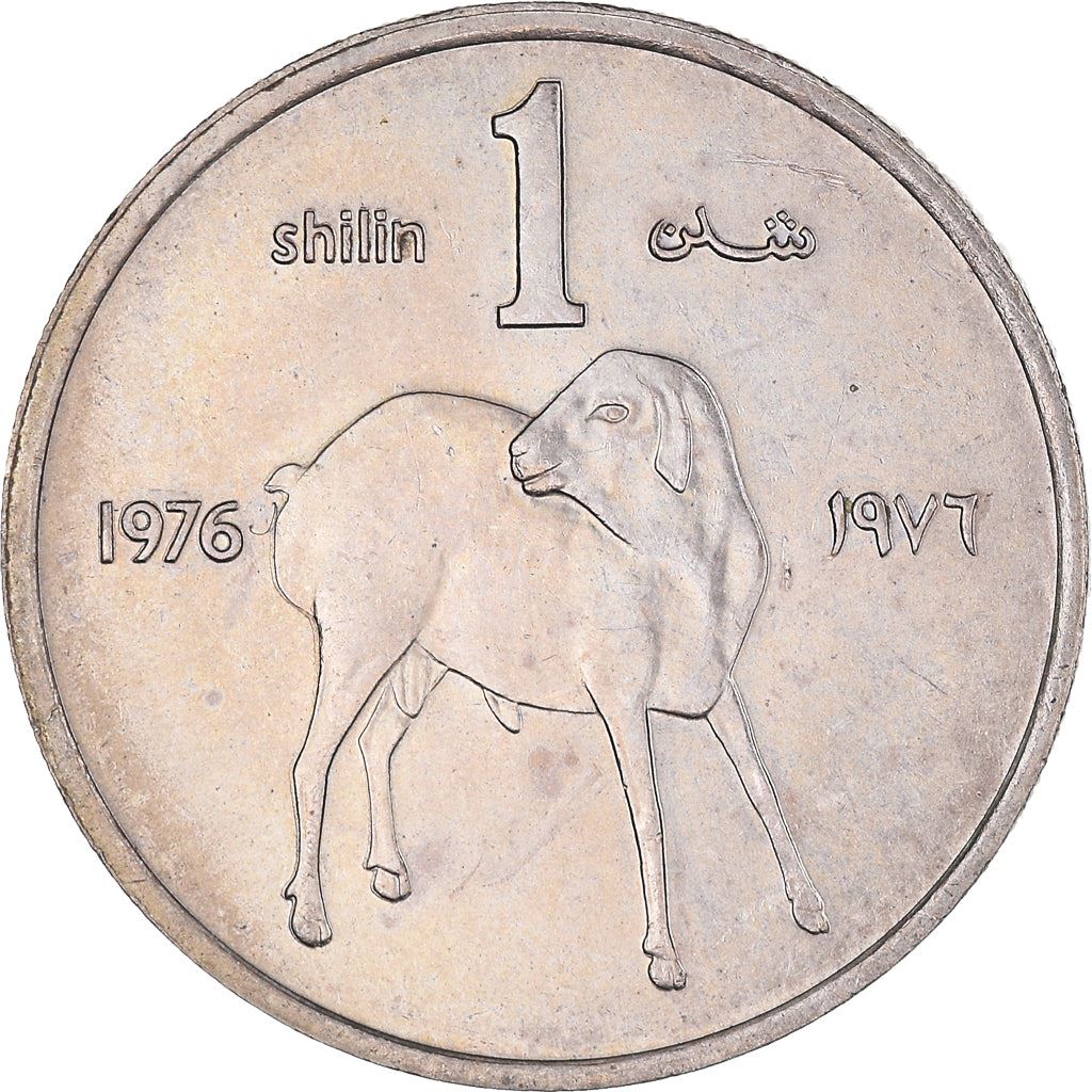 Somalia | 1 Shilling Coin | FAO | Lamb | Km:27 | 1976