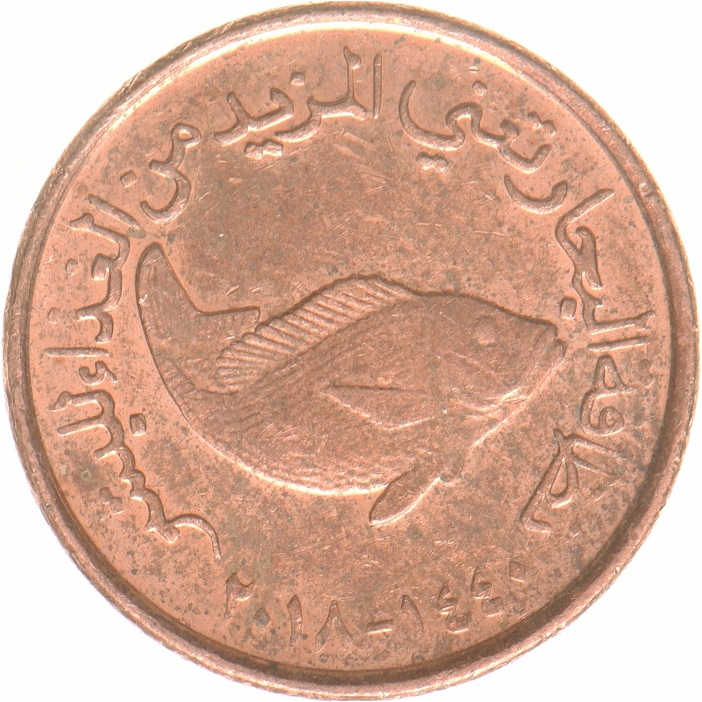 Emirati Arabi Uniti | Moneta da 5 fils | FAO | Acciaio ramato | UC:2 | 2018