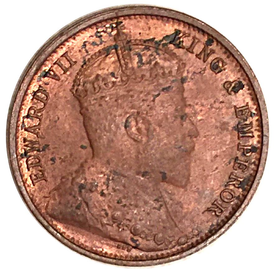 Ceylon | 1/2 Cent Coin | King Edward VII | Palm Tree | KM101 | 1904 - 1909
