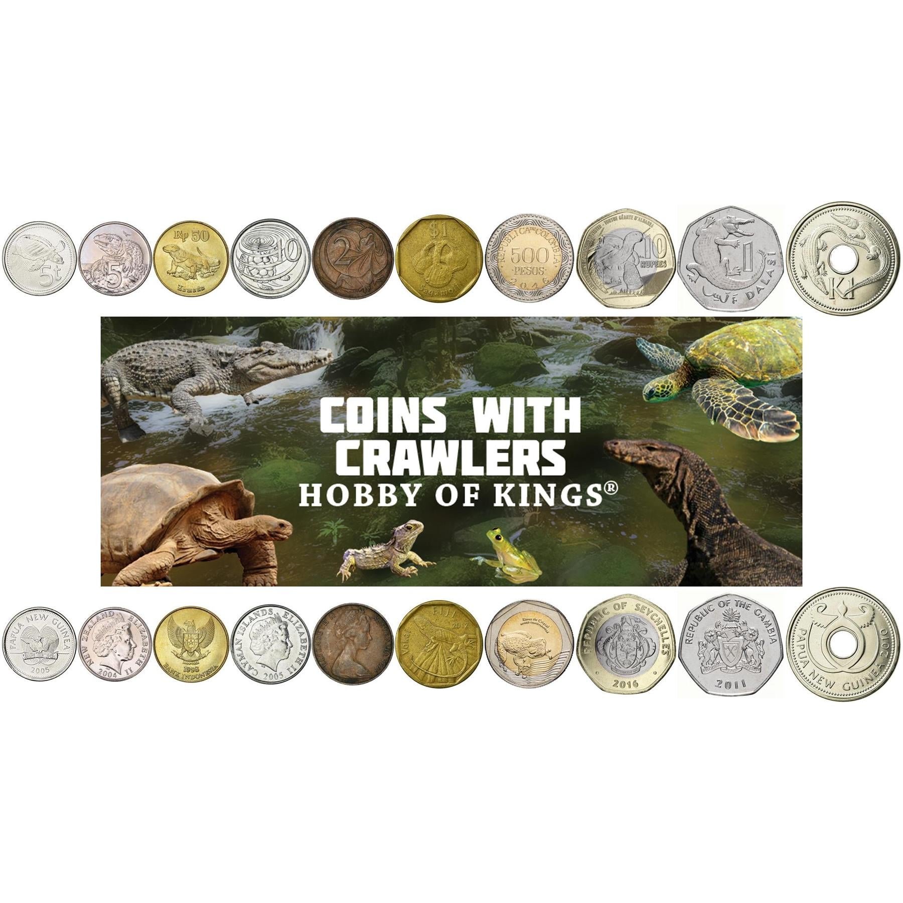 Coins With Different Reptiles And Amphibians | Crocodiles, Alligators, Turtles, Tortoises, Lizards and More