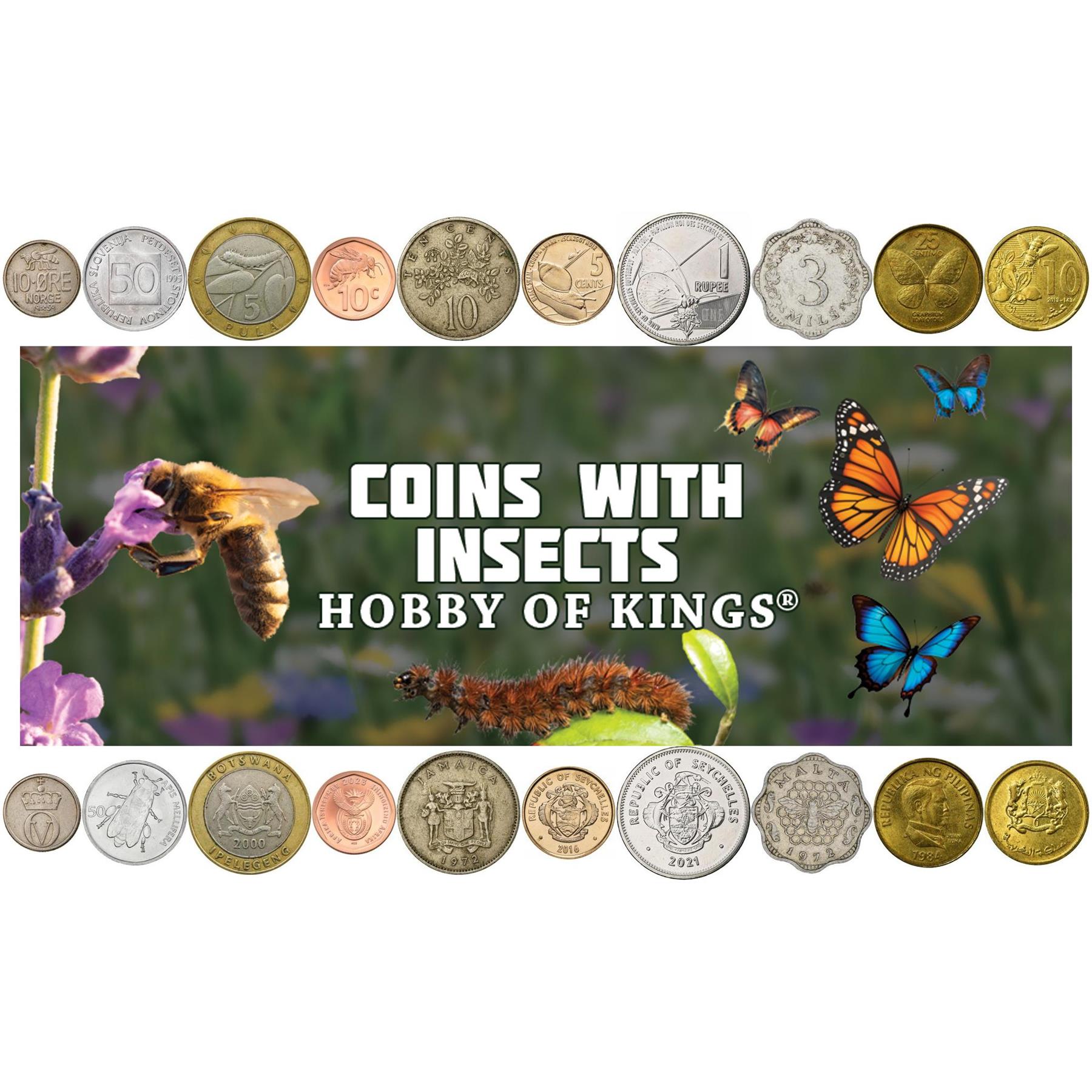Coins With Different Insects | Bees, Wasps, Caterpillars, Snails And Butterflies