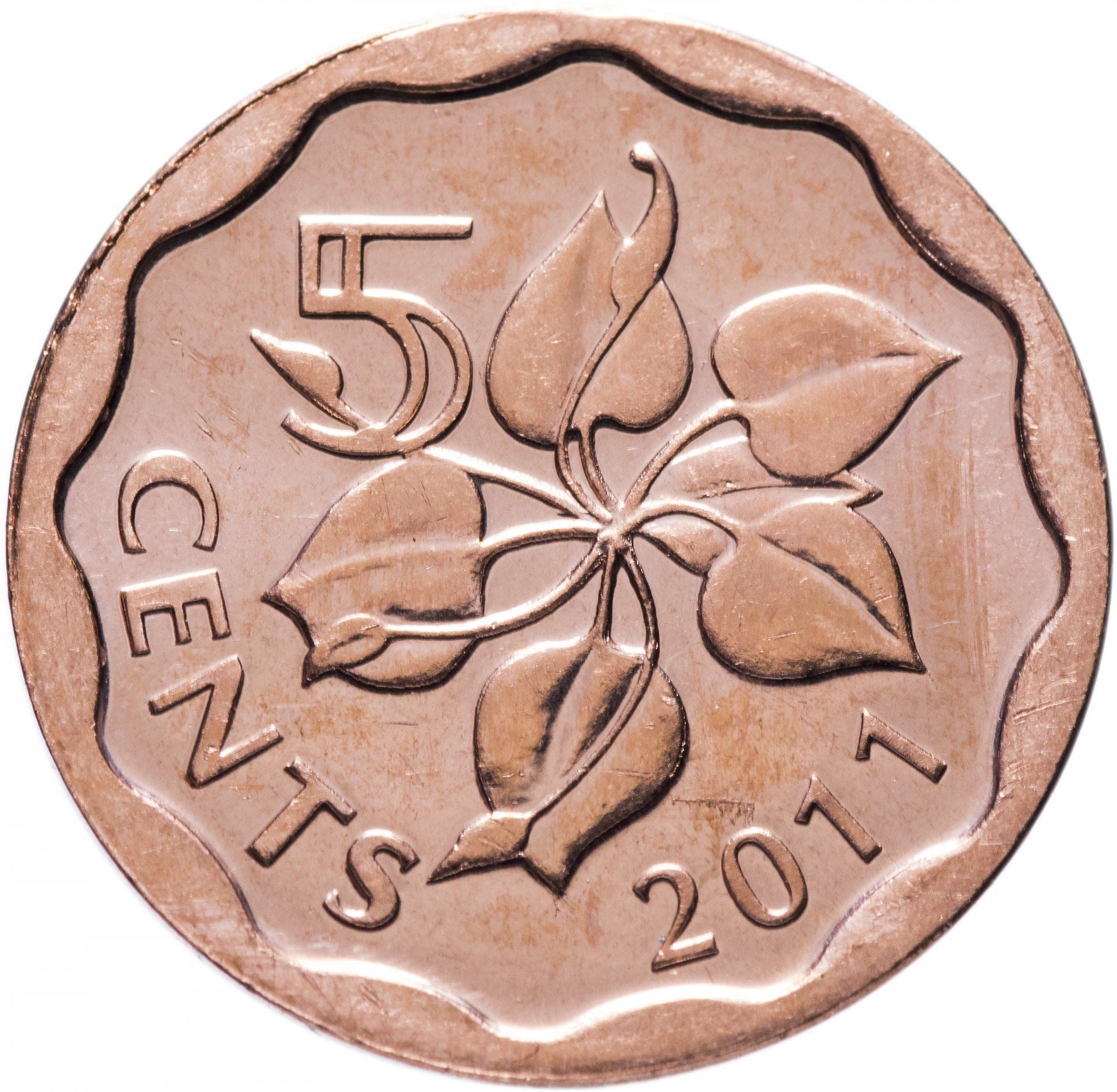 Kingdom of Swaziland | 5 Cents Coin | Mswati III | KM:56 | 2011