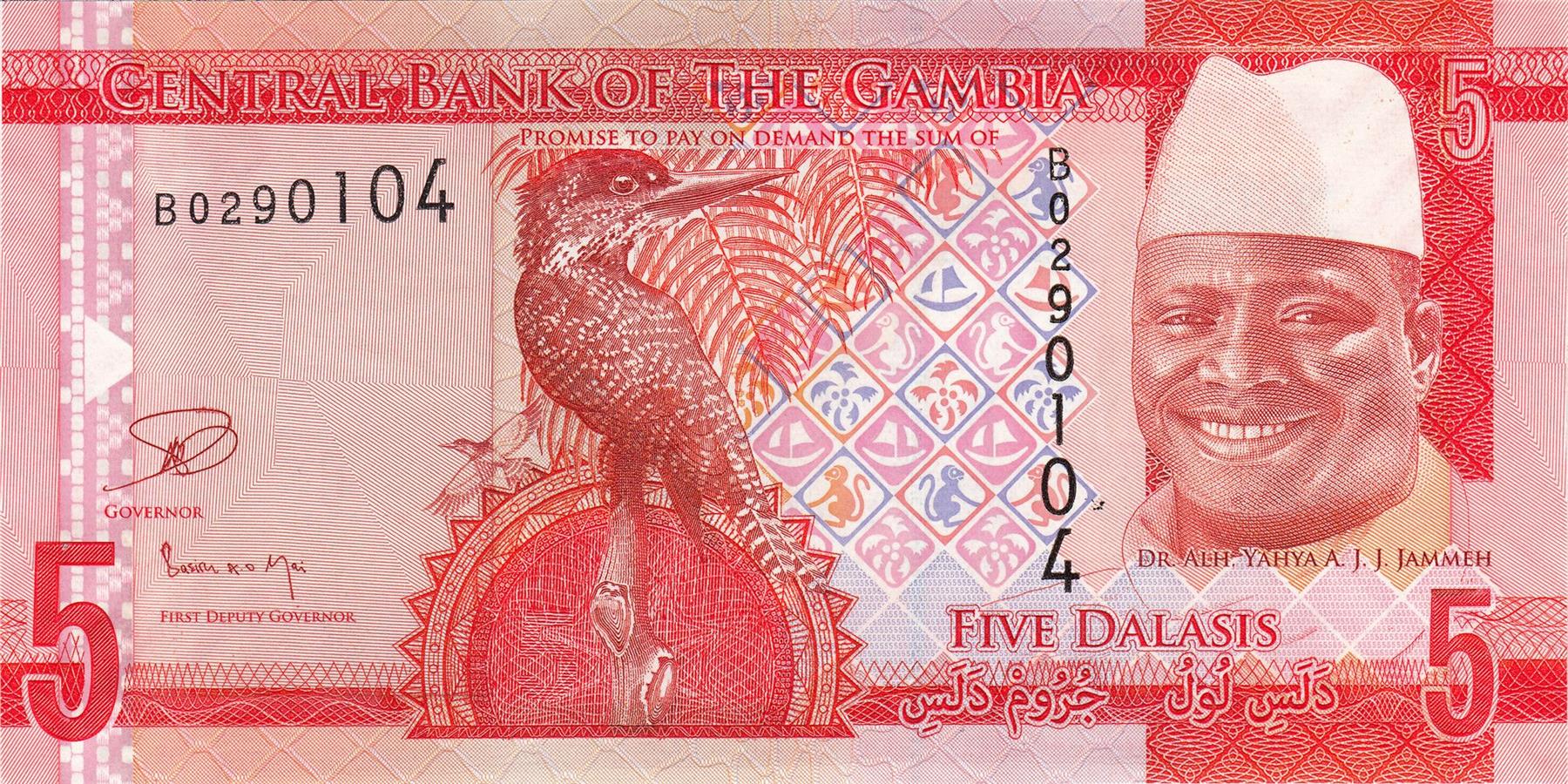 Gambia | 5 Dalasis Banknote | 2015 | Giant Kingfisher | Cattles | Palm Trees