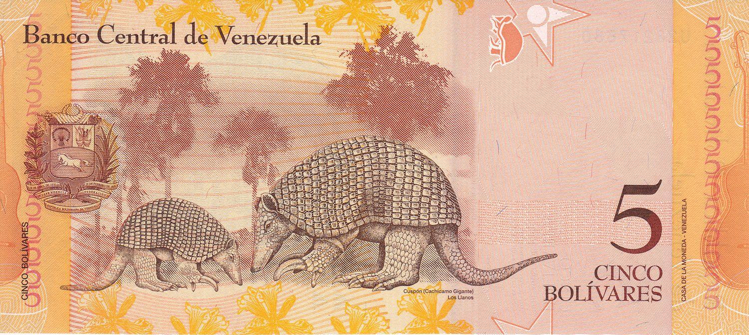 Venezuela | 5 Bolivares Banknote | 2007 - 2014 | Pedro Camejo | Giant Armadillos