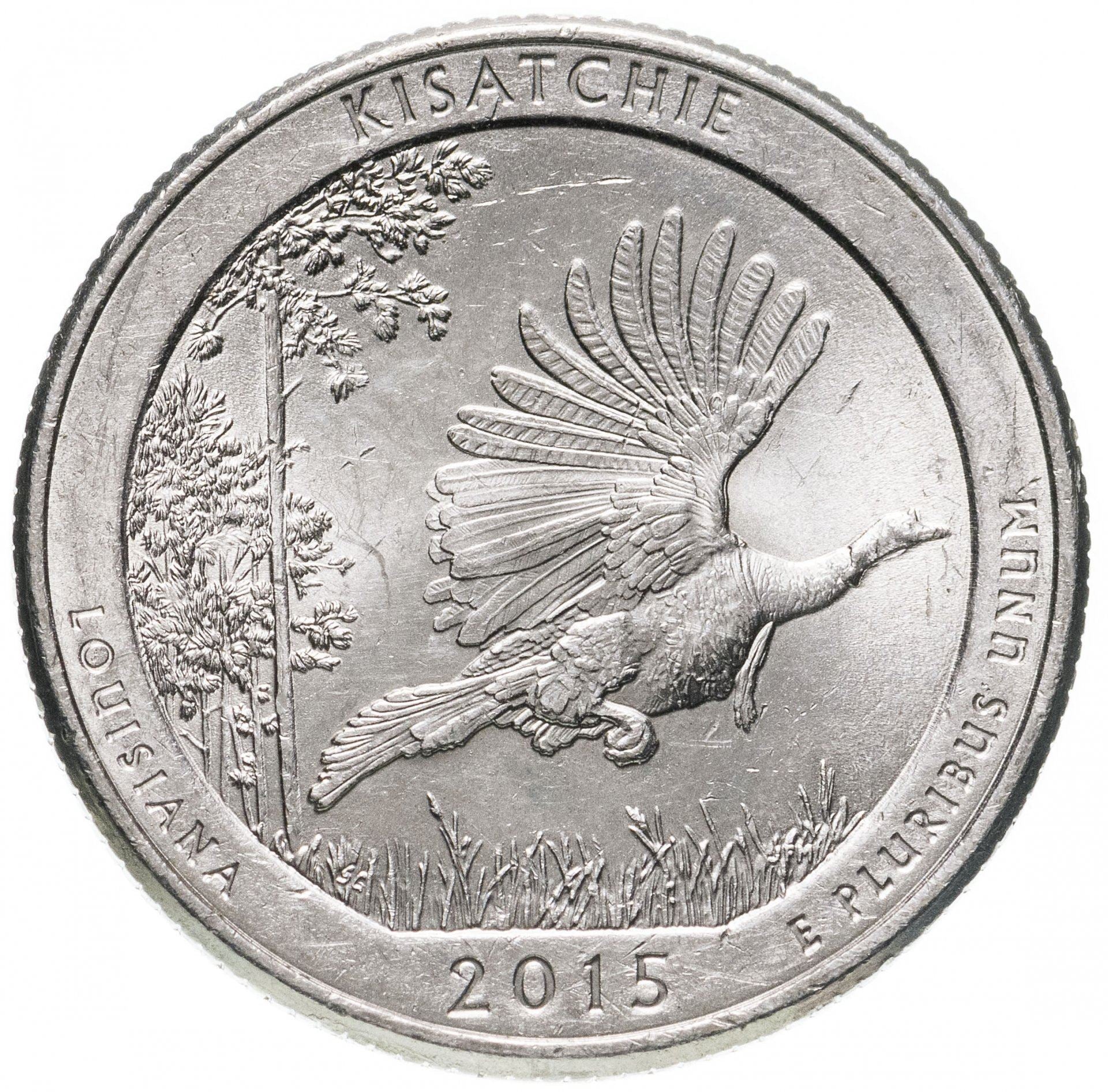 United States | 1/4 Dollar Coin | Kisatchie National Forest | KM:598 | 2015