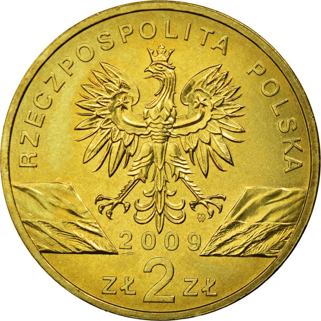 Poland | 2 Zlotys Coin | Jaszczurka zielona | Y:678 | 2009