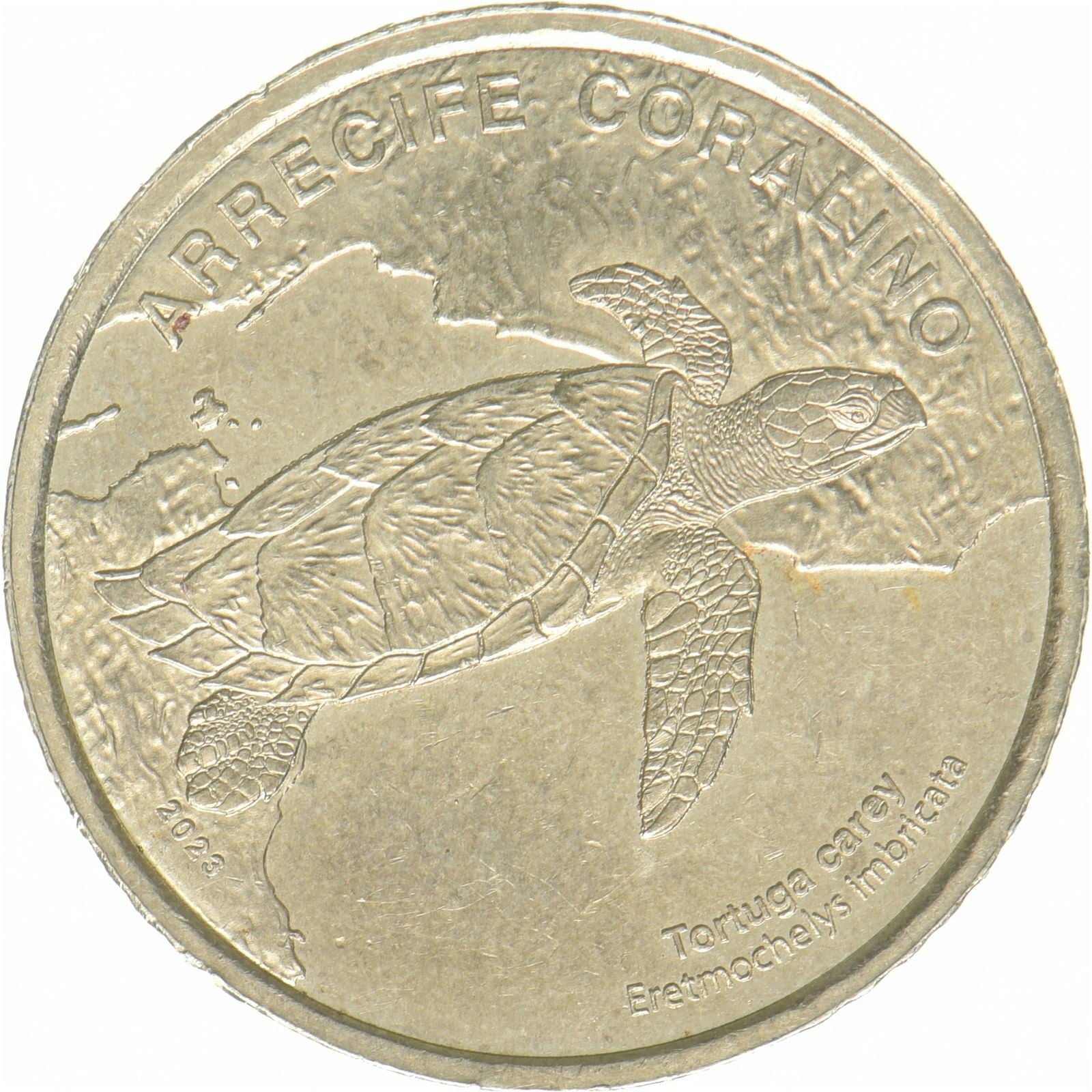 Costa Rica | 50 colones-mynt | Karettskilpadde | Nikkel-messing | UC:214 | 2023