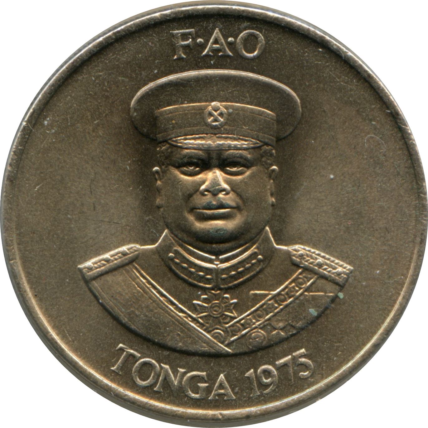 Tonga | 20 Seniti Coin | King Tupou IV | Honey Bee | Beehive | FAO | Km:46 | 1975 - 1979