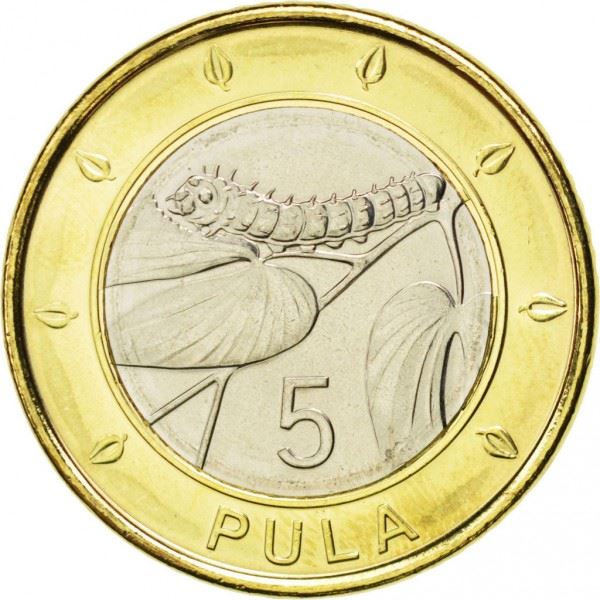 Botswana | 5 Pula Coin | Mopane Worm | Km:37 | 2013 - 2016