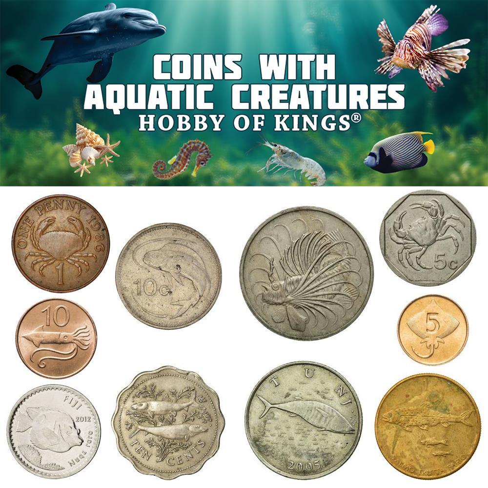 Different Coins With Different Aquatic Creatures | Fish, Dolphins, Squids, Crabs, Shrimps, Starfish and More