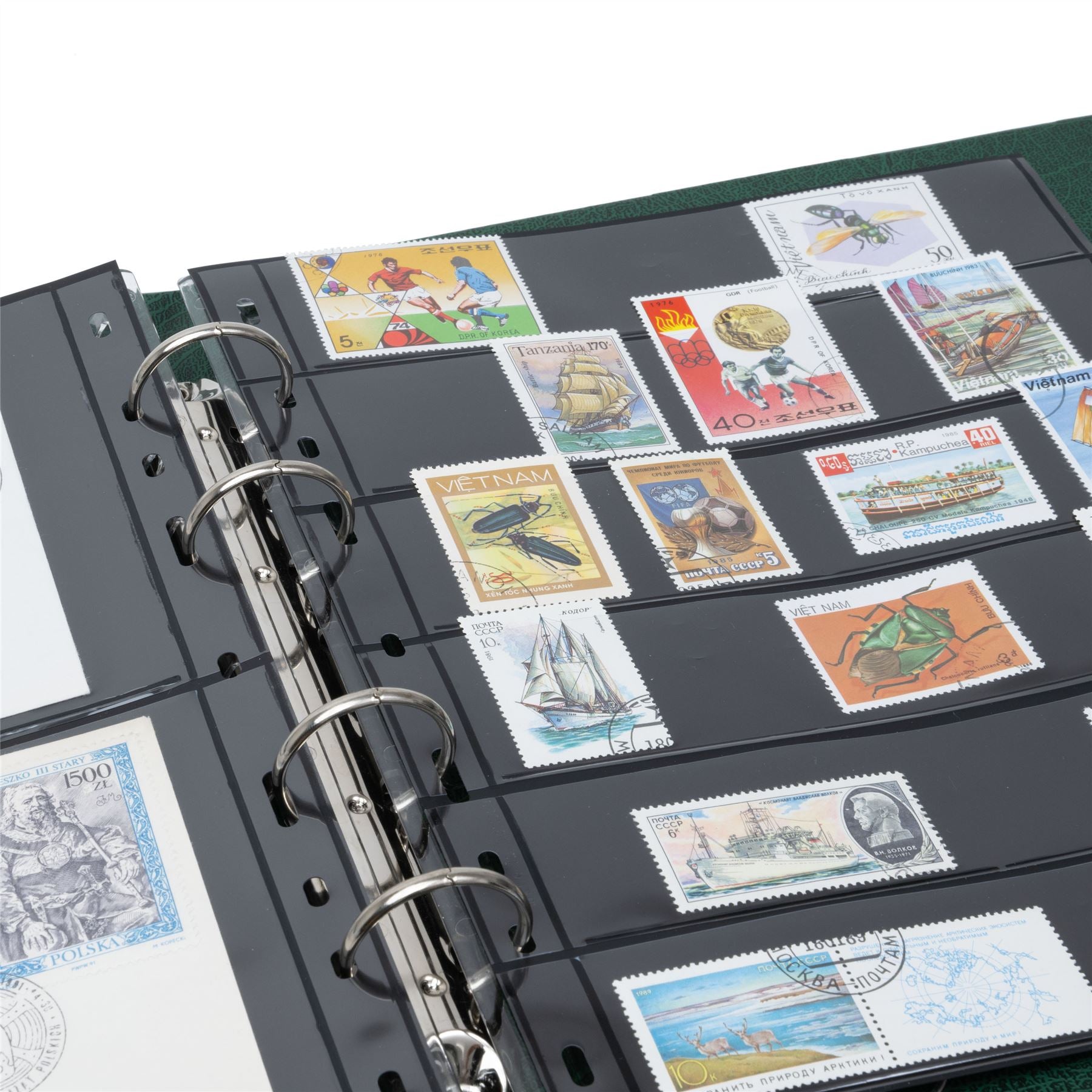OPTIMA F Ring Binder | Coin and Banknote Album | Slipcase Optional | Up to 50 Sheet Capacity | 5 Color Options