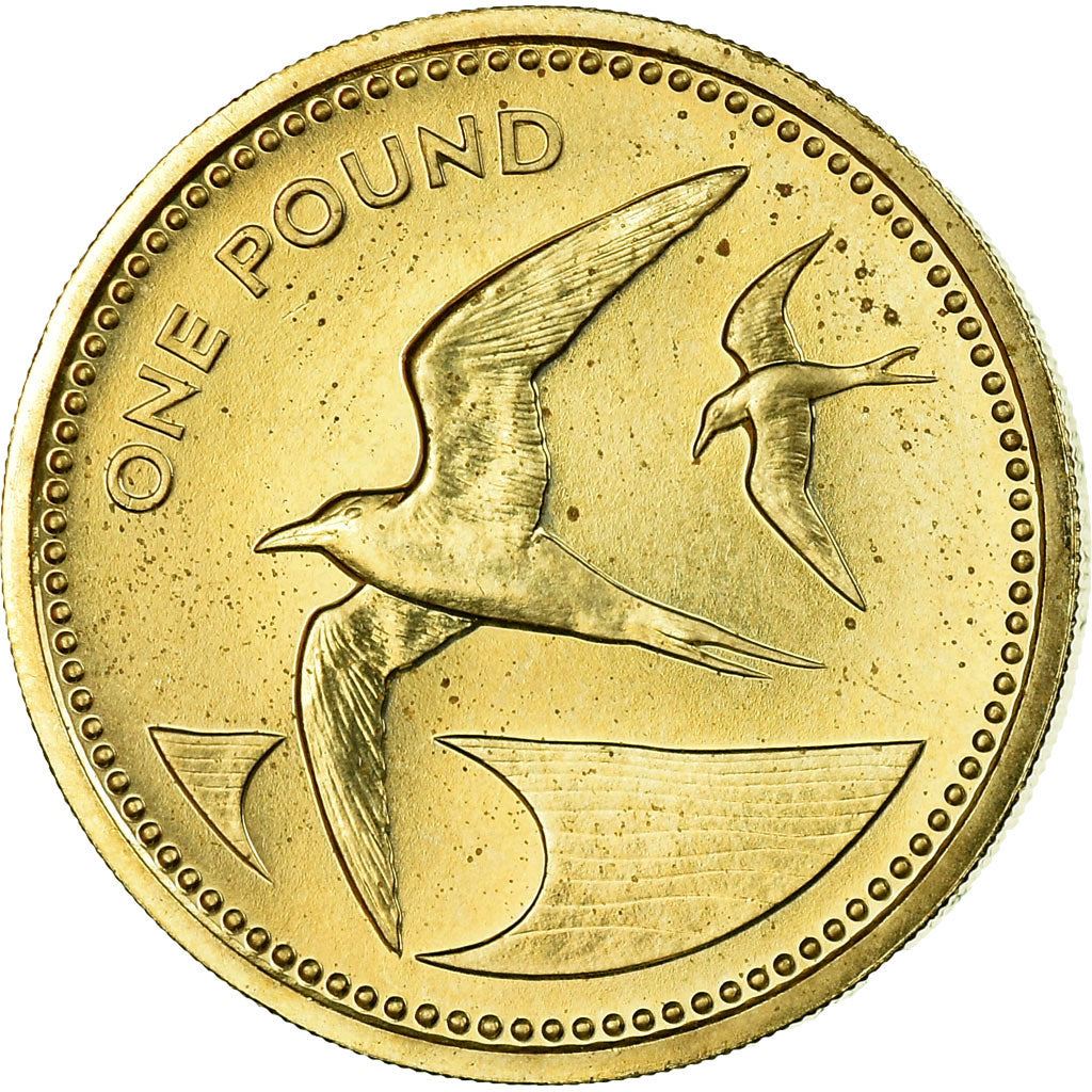 セントヘレナとアセンション | 1ポンド硬貨 | エリザベス2世 | スーティーターン鳥 | Km:6 | 1984年