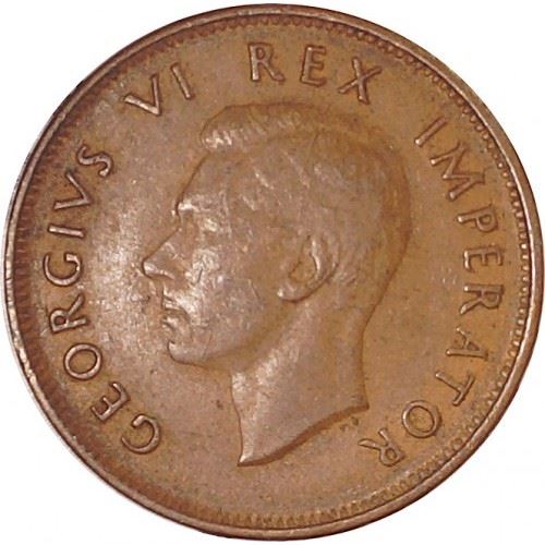 South Africa 1/2 Penny Coin | George VI | KM24 | 1937 - 1947