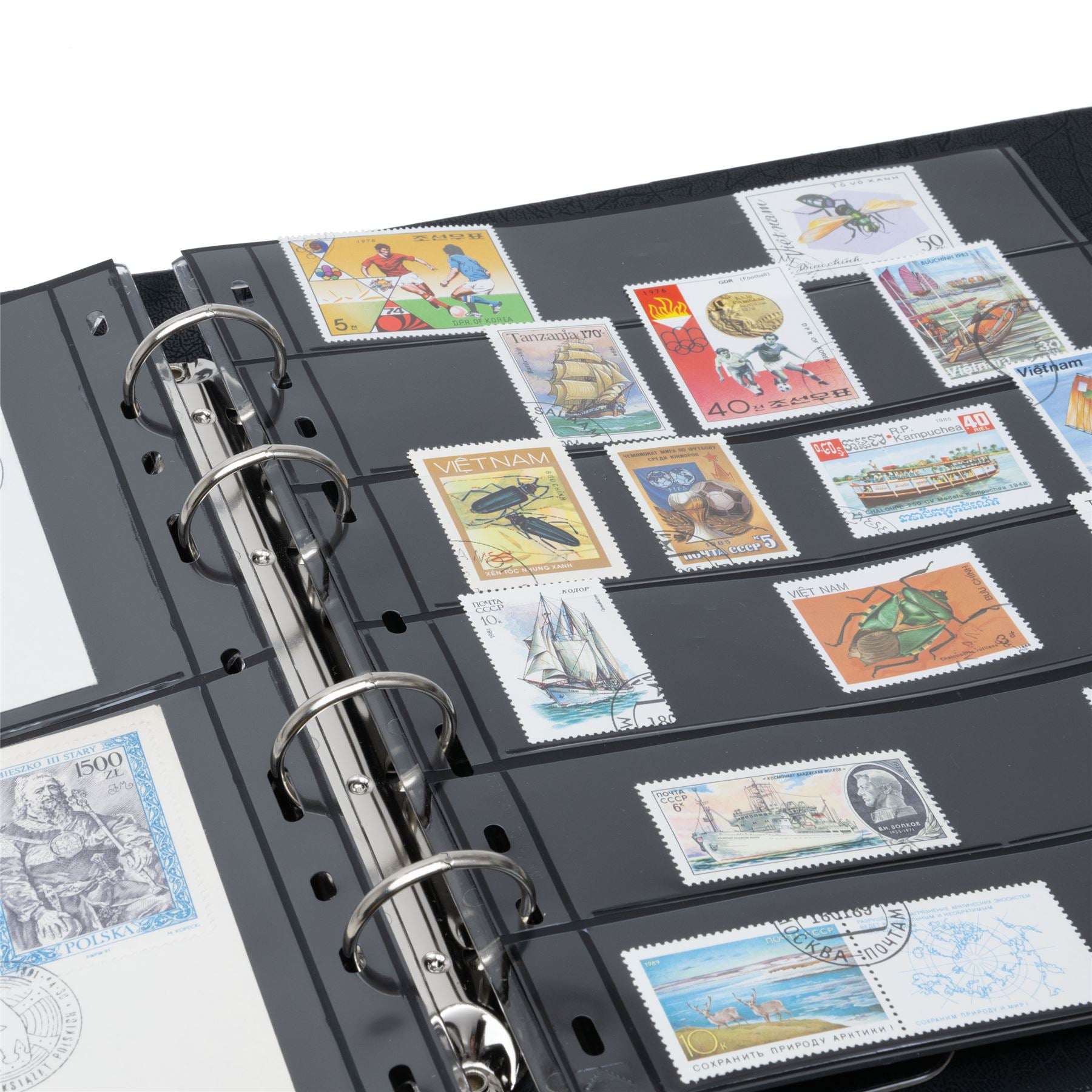 OPTIMA F Ring Binder | Coin and Banknote Album | Slipcase Optional | Up to 50 Sheet Capacity | 5 Color Options