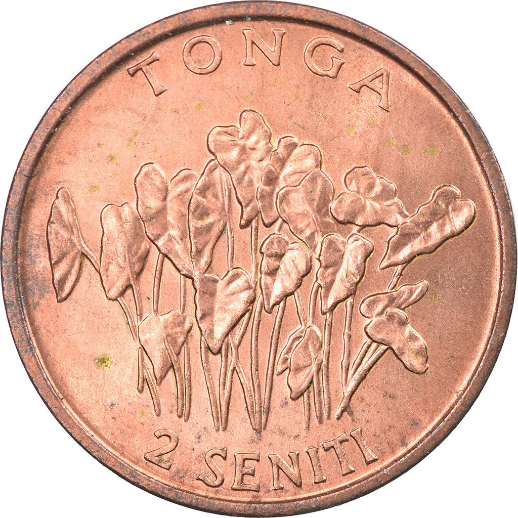 Tonga | Moneta da 2 Seniti | Pianta di Taro | FAO | Km:67 | 1981 - 1996
