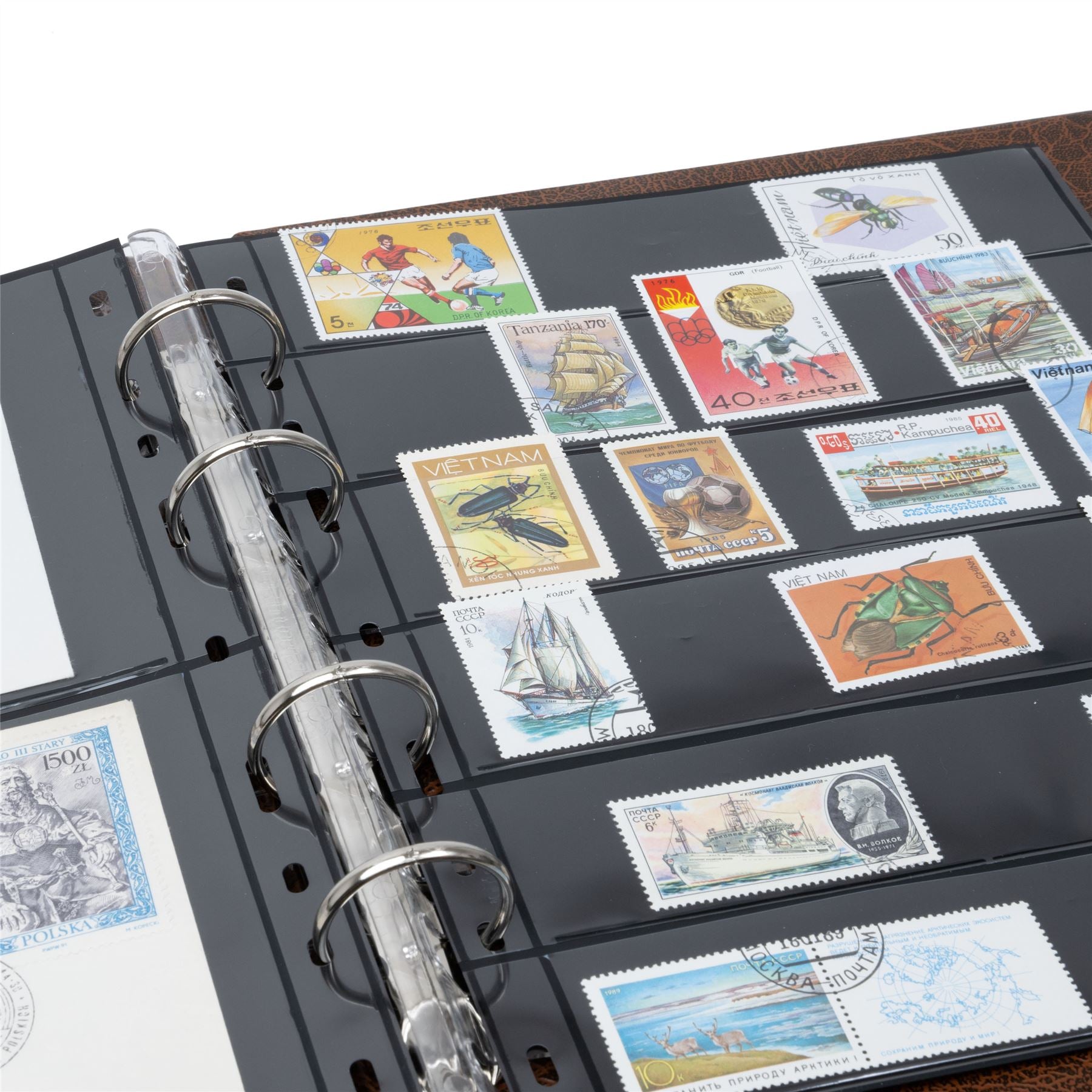OPTIMA F Ring Binder | Coin and Banknote Album | Slipcase Optional | Up to 50 Sheet Capacity | 5 Color Options