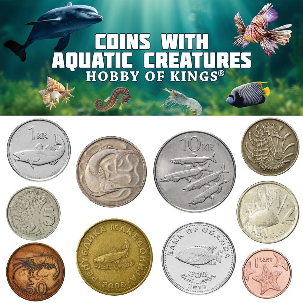 Different Coins With Different Aquatic Creatures | Fish, Dolphins, Squids, Crabs, Shrimps, Starfish and More