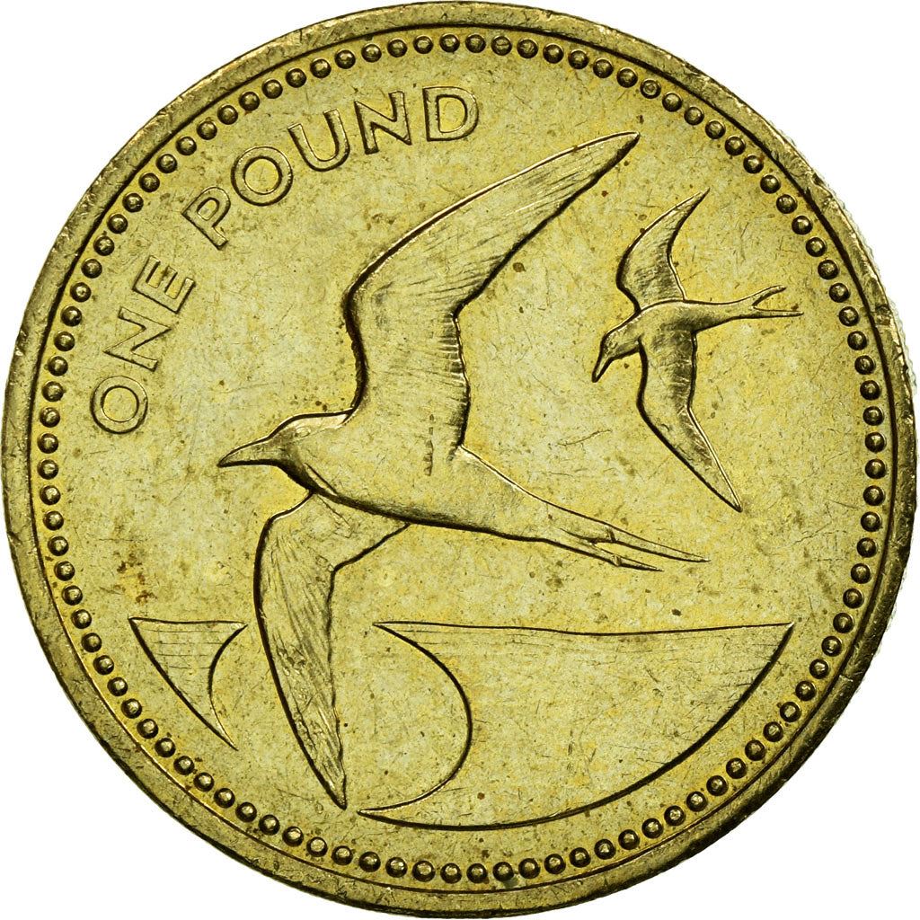 Saint Helena i Wniebowstąpienie | Moneta 1 funta | Elżbieta II | Mewa Sooty Tern | Km:17 | 1991 - 2015