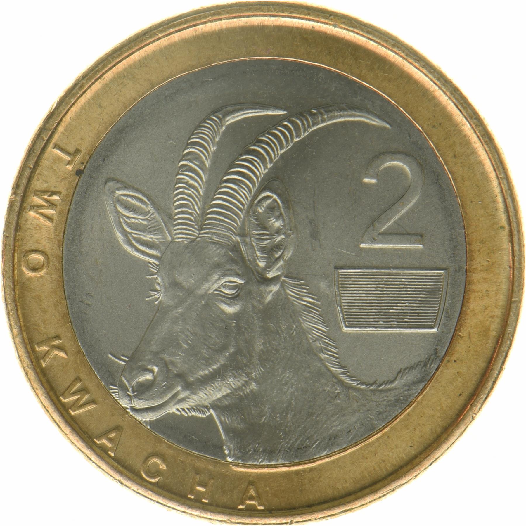 زامبيا | عملة 2 كواشا | ظبي روان | 2024 - 2025