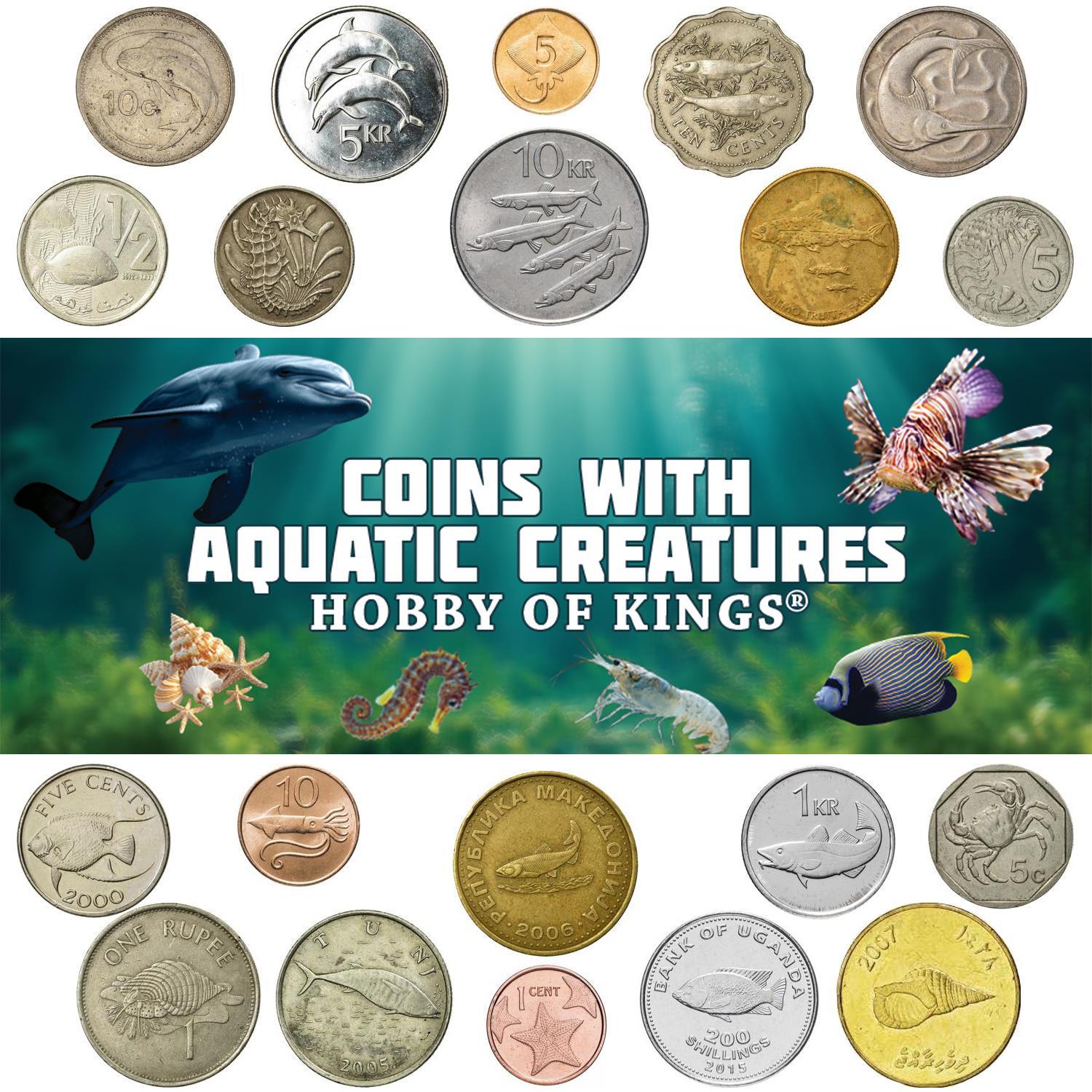 Different Coins With Different Aquatic Creatures | Fish, Dolphins, Squids, Crabs, Shrimps, Starfish and More