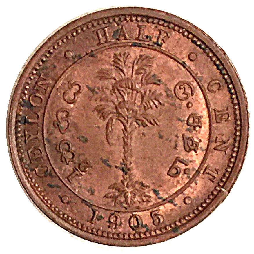 Ceylon | 1/2 Cent Coin | King Edward VII | Palm Tree | KM101 | 1904 - 1909