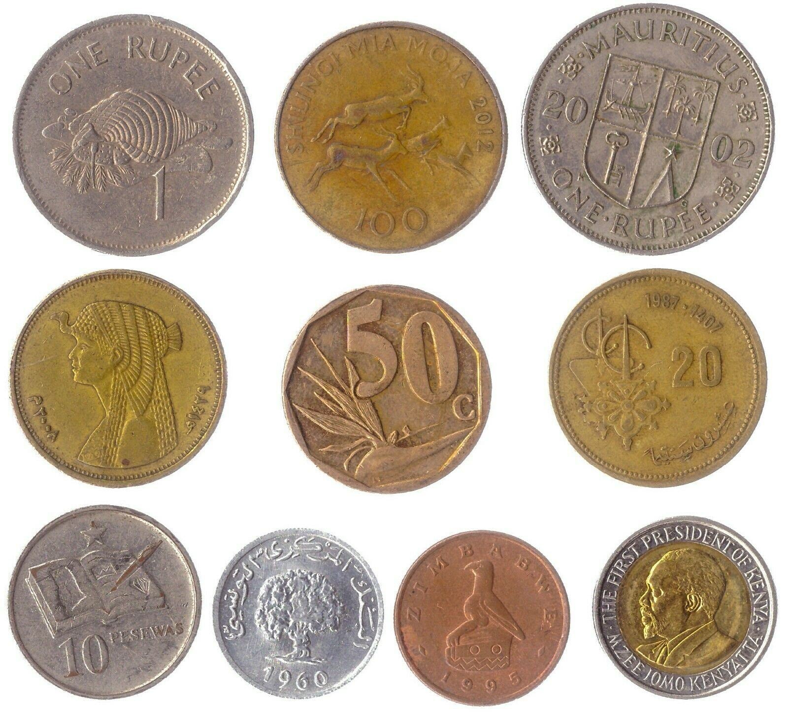Different Coin Collection from Africa | Exotic African Wildlife | Animals and Flowers | Historical Leaders | Authentic Collectible Set