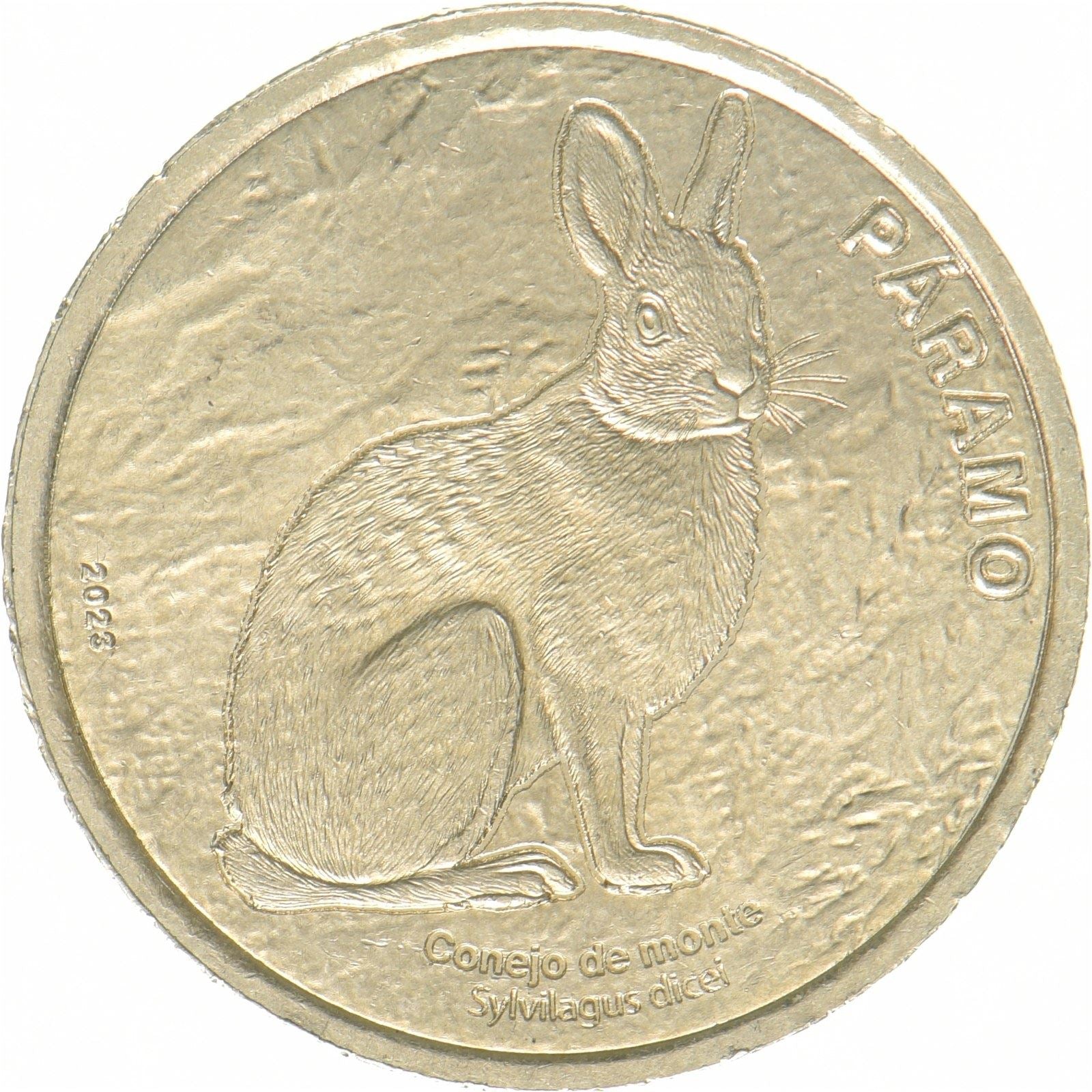 Costa Rica | 50 colón-mynt | Dice’s bomullshale | nikkelmessing | UC:226 | 2023