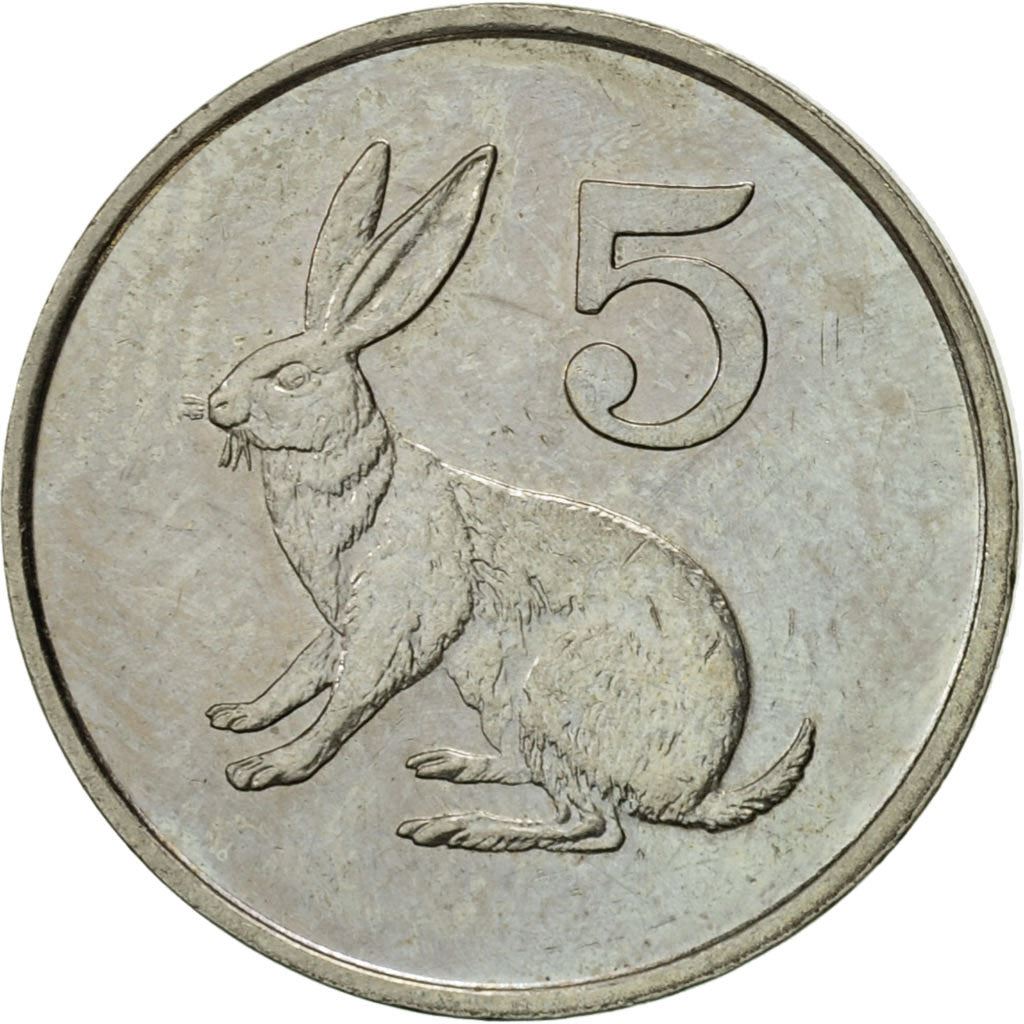 Zimbabwe | 5 Cents Coin | Scrub hare | Km:2 | 1980 - 1999