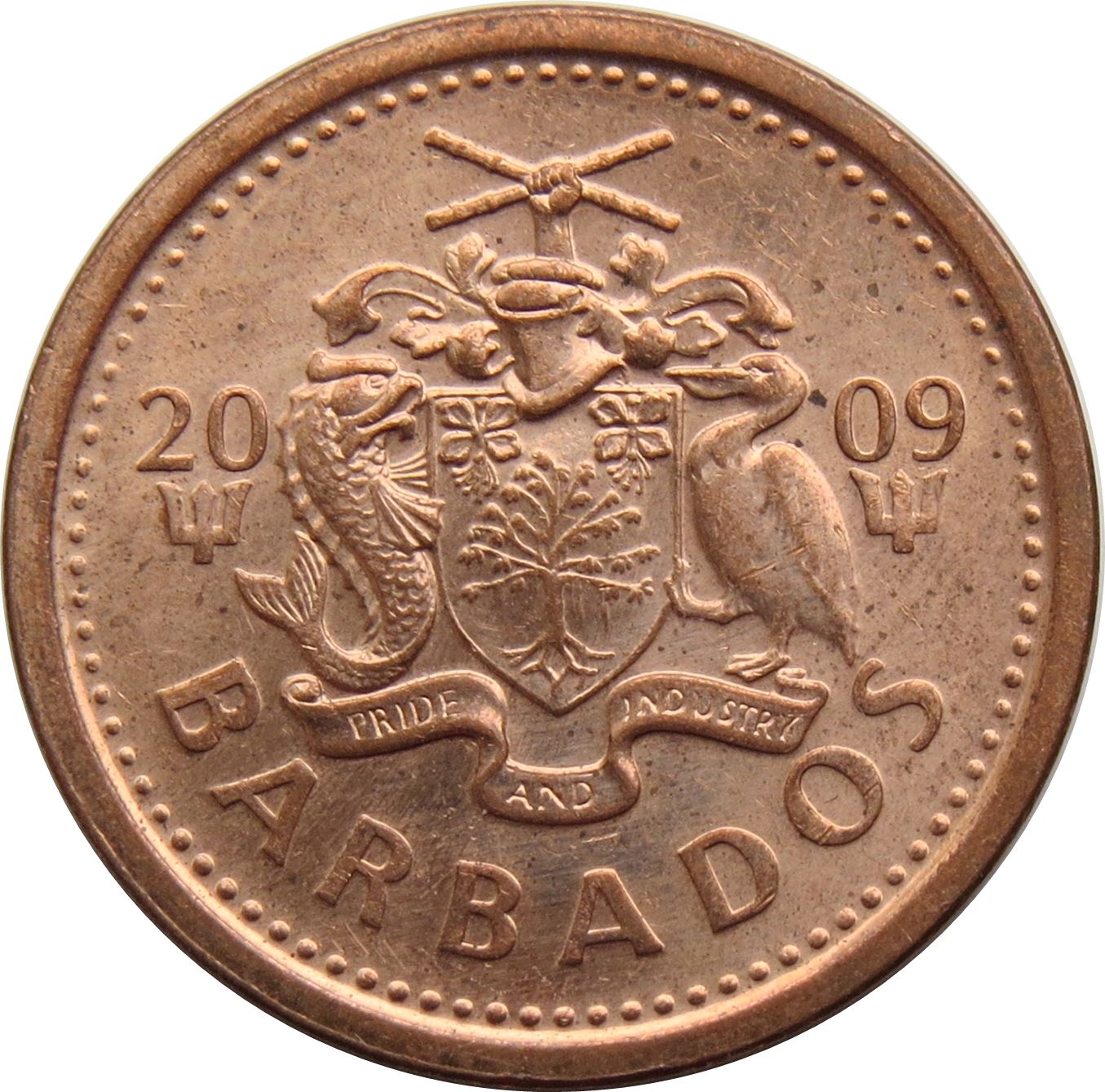 Barbados | 1 Cent Coin | Trident | Km:10B | 2007 - 2012