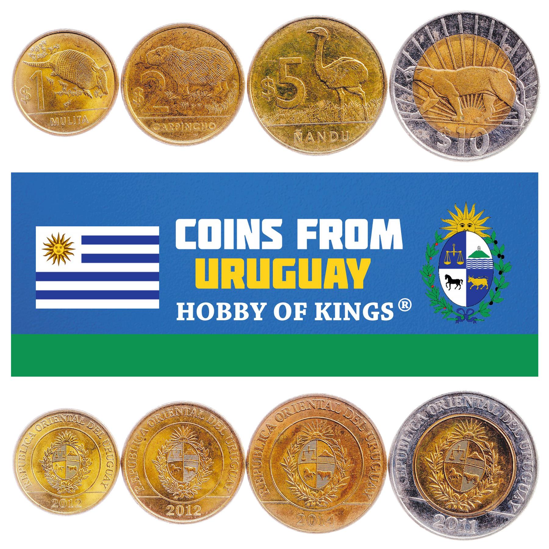Uruguayan Coin Collection | Currency from South America